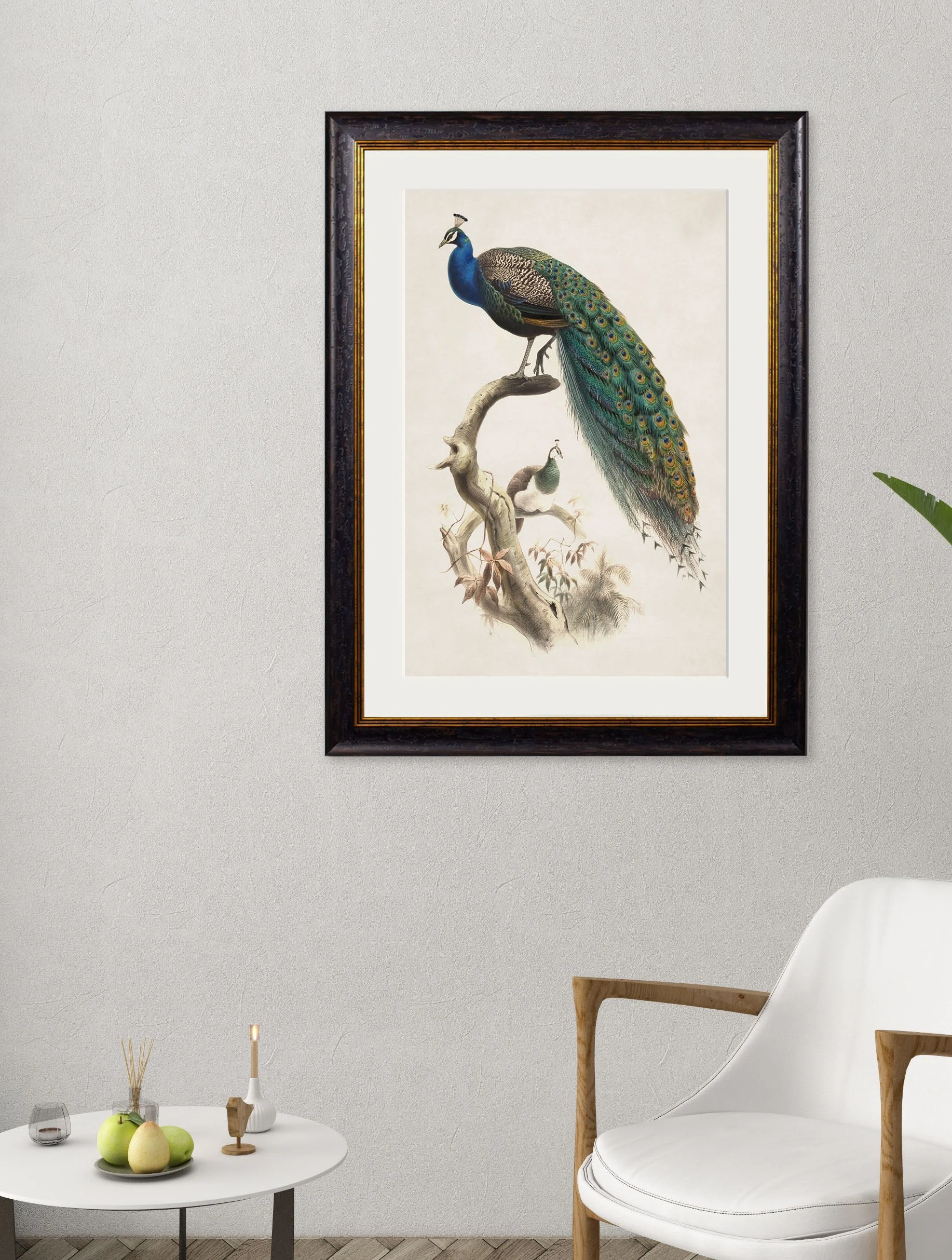 IndianPeacockA1wall.jpg