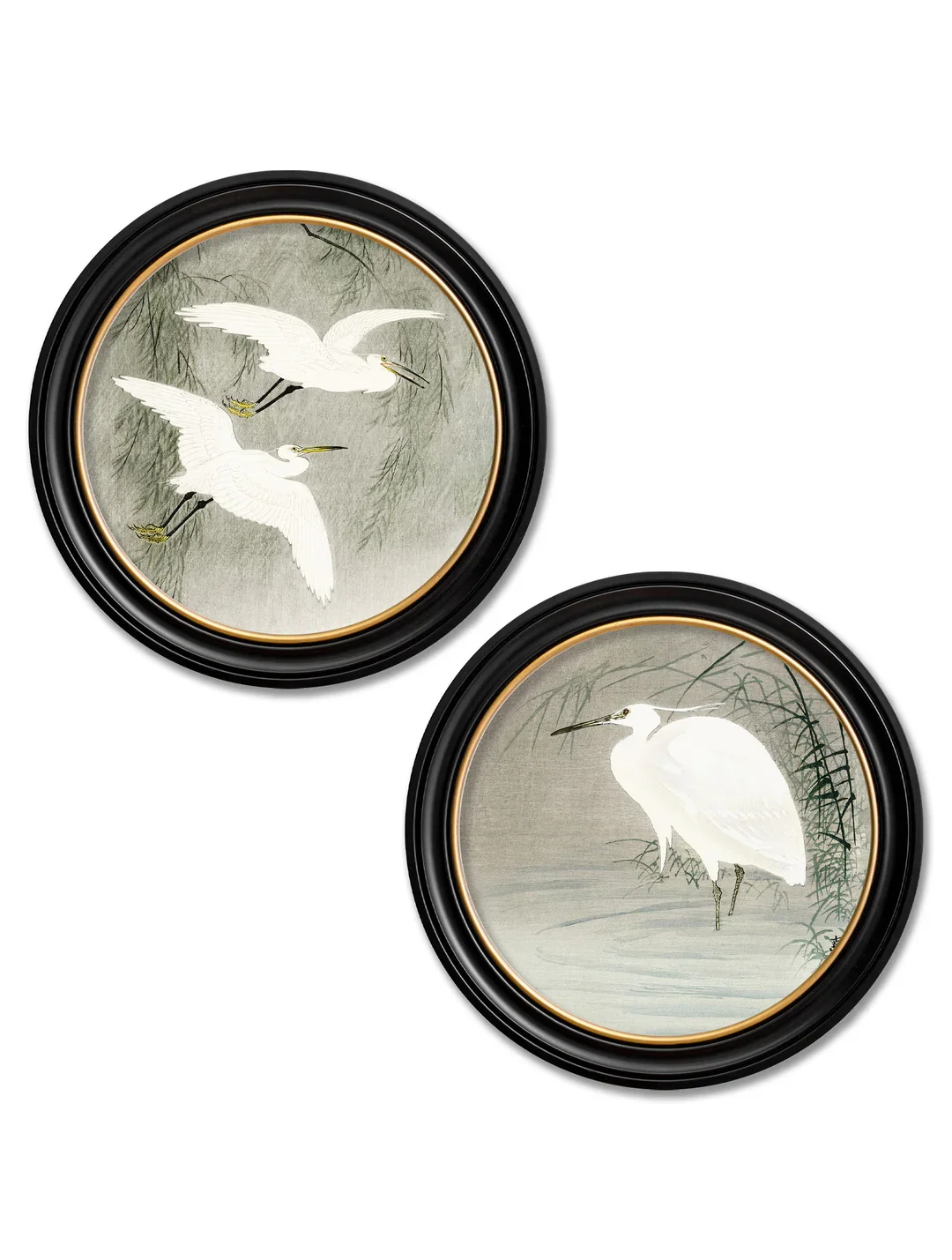 egretpair.webp