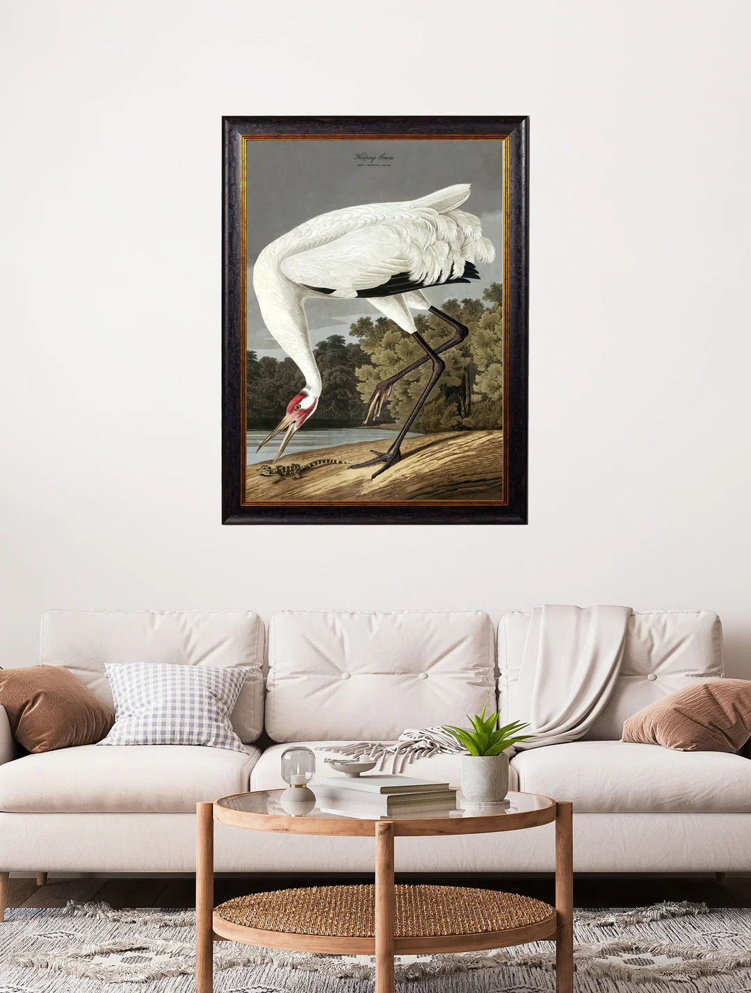 hoopingcranea1wall.webp