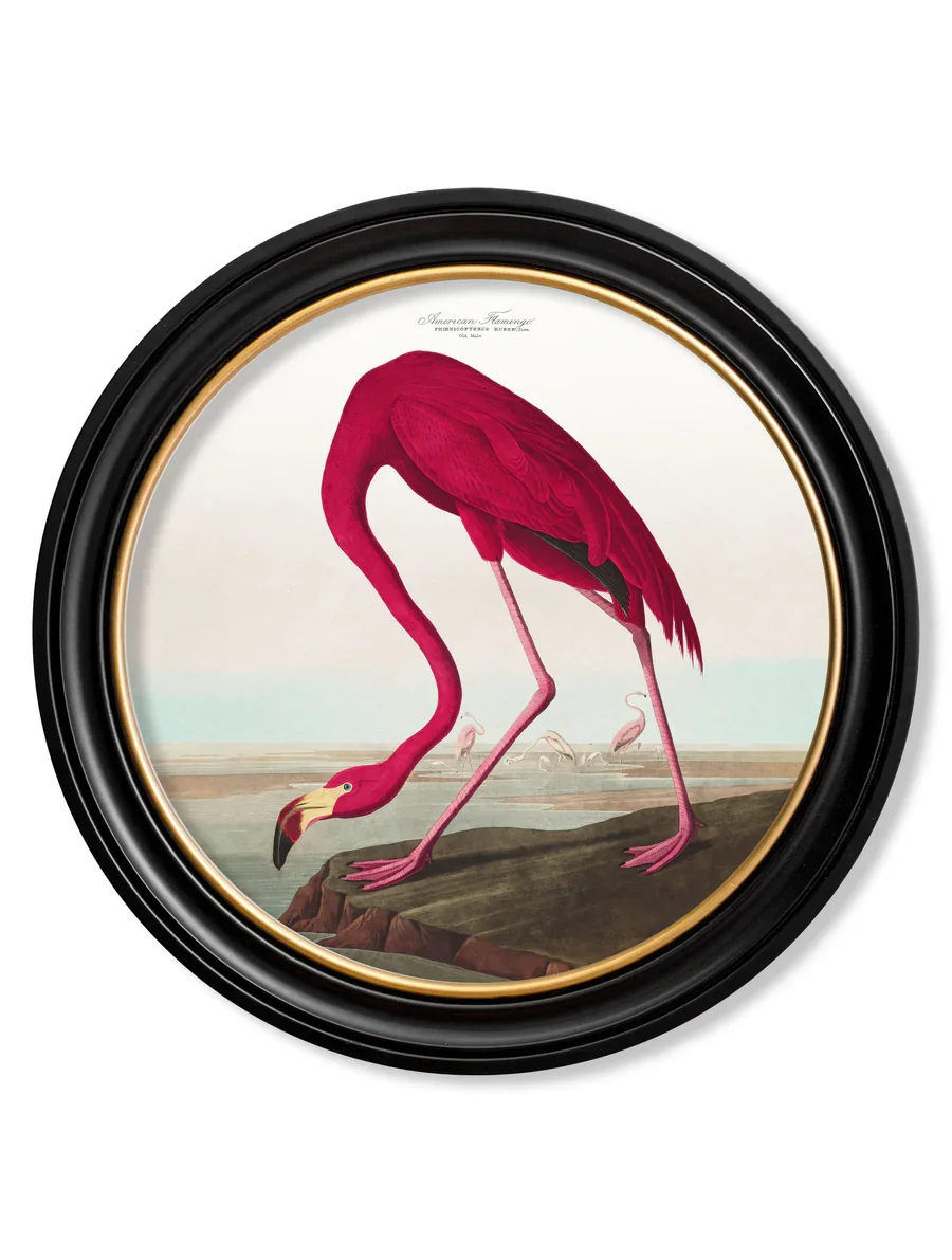 flamingowithname.webp
