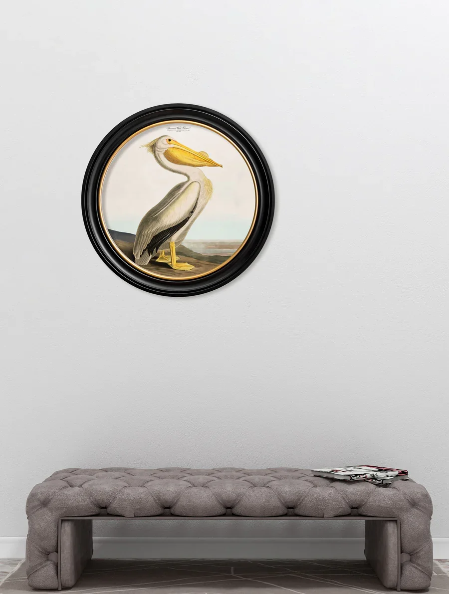 LightPelicanWall.webp
