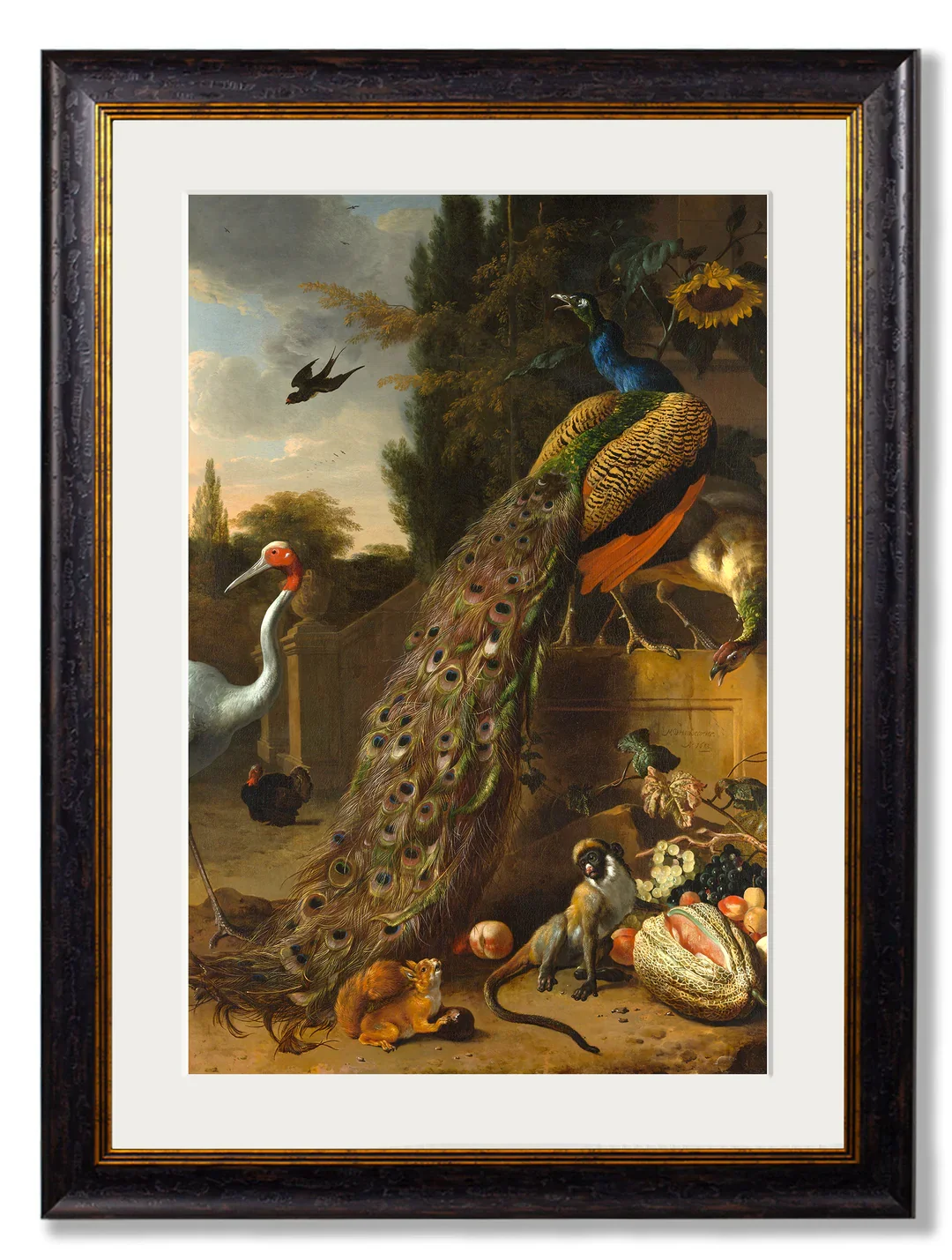 Peacock_6e2d0699-fbc2-44b6-89d3-c6d633211b63.webp