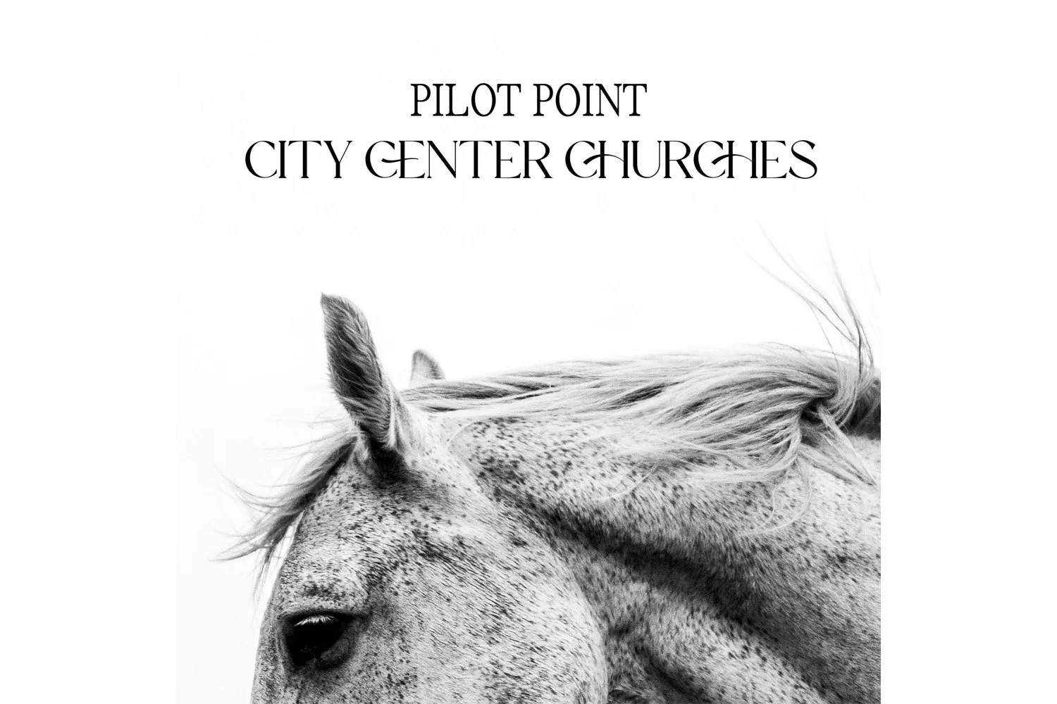 City Center Churches | Non-Profit Benefiting Pilot Point