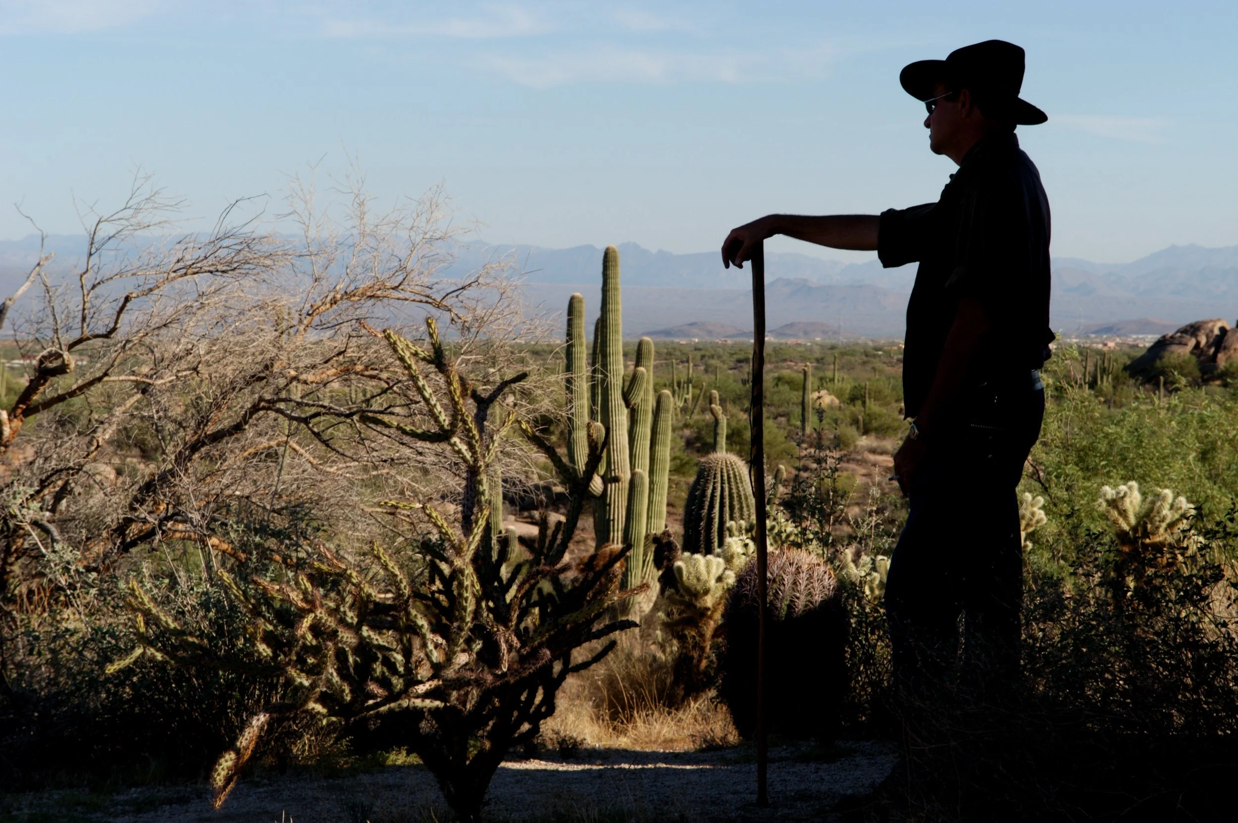 Cowboy Profile_Original.JPEG