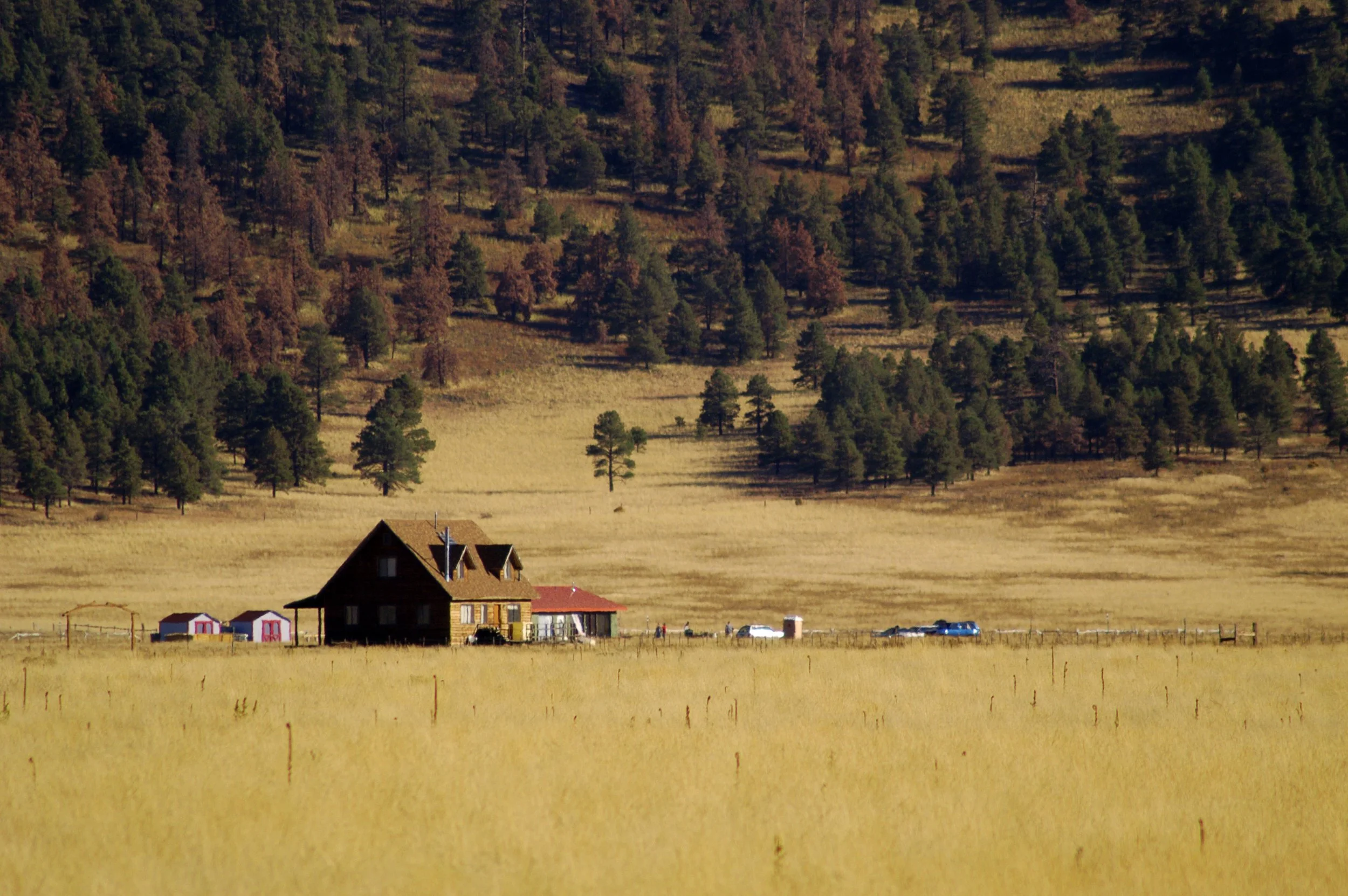 Field house_Original.JPEG