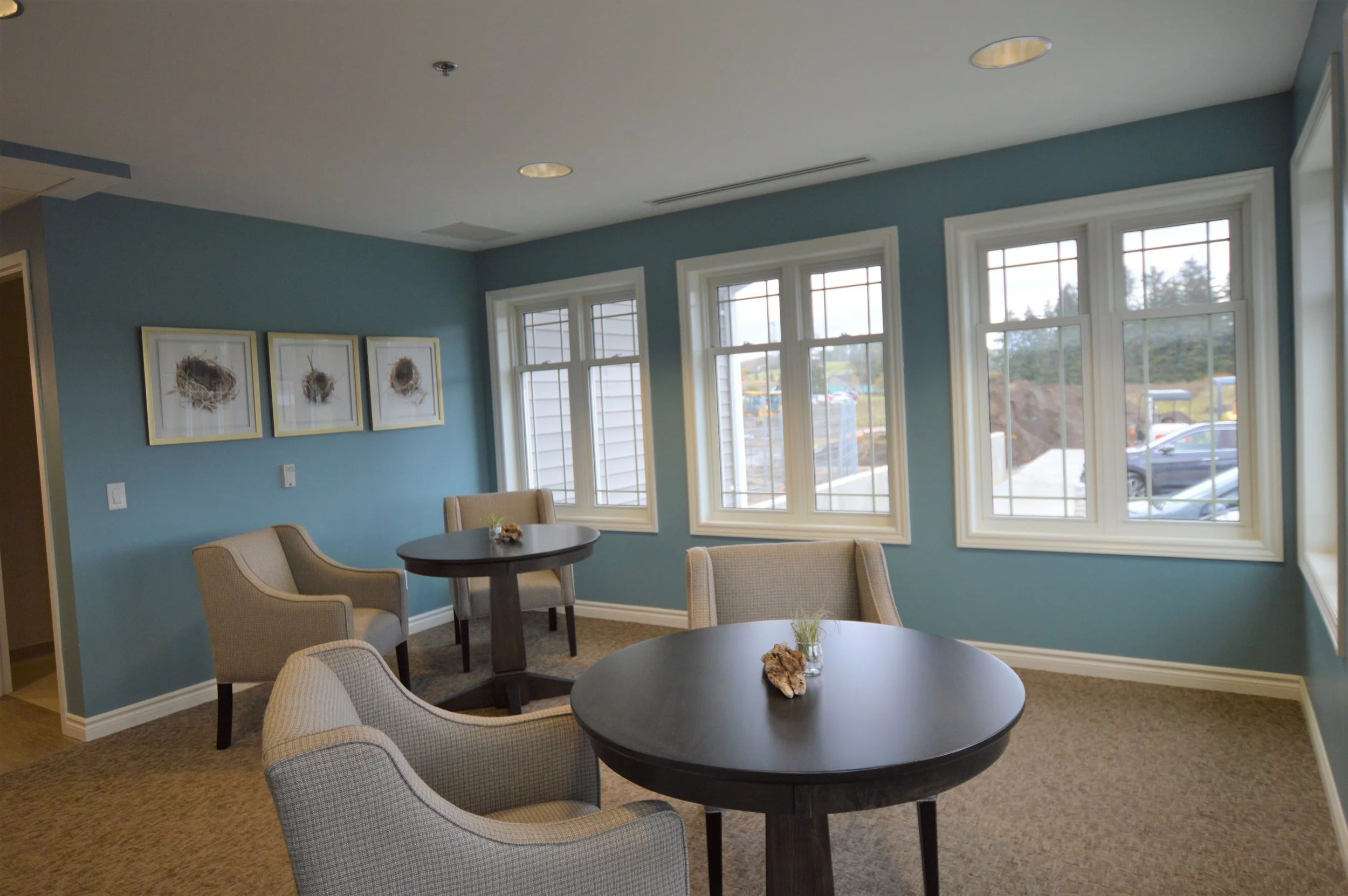 Interior of a cozy sitting area with three round black tables, each adorned with a small decorative plant and a natural stone. Four armchairs upholstered in beige fabric are arranged around the tables. The room has four large windows with white trim, allowing natural light to illuminate the space. There are three framed pictures of bird nests on a blue accent wall.