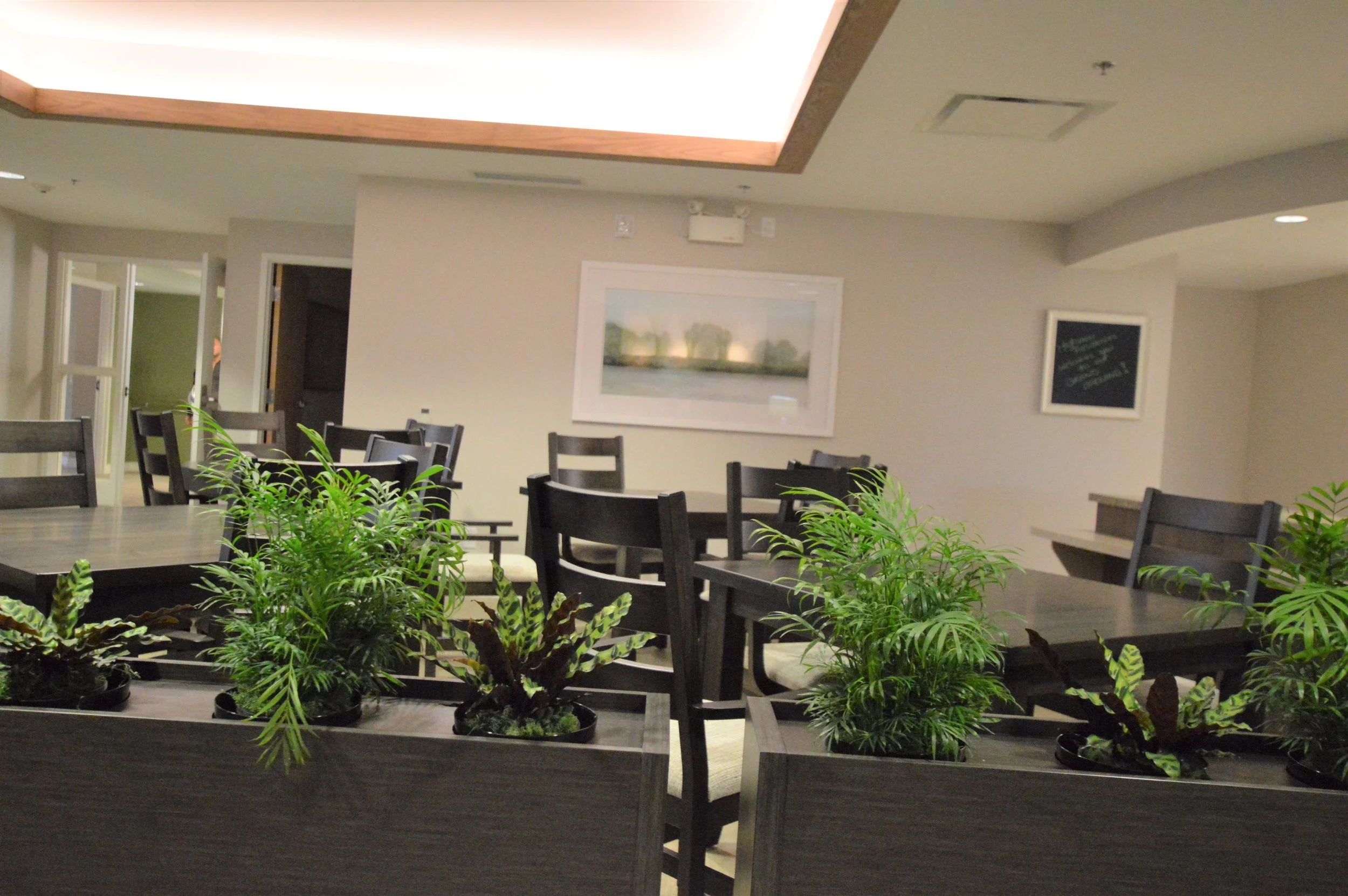 Interior of a dining area with several dark wooden tables and chairs, framed artwork on the walls, and a row of potted green plants in the foreground.