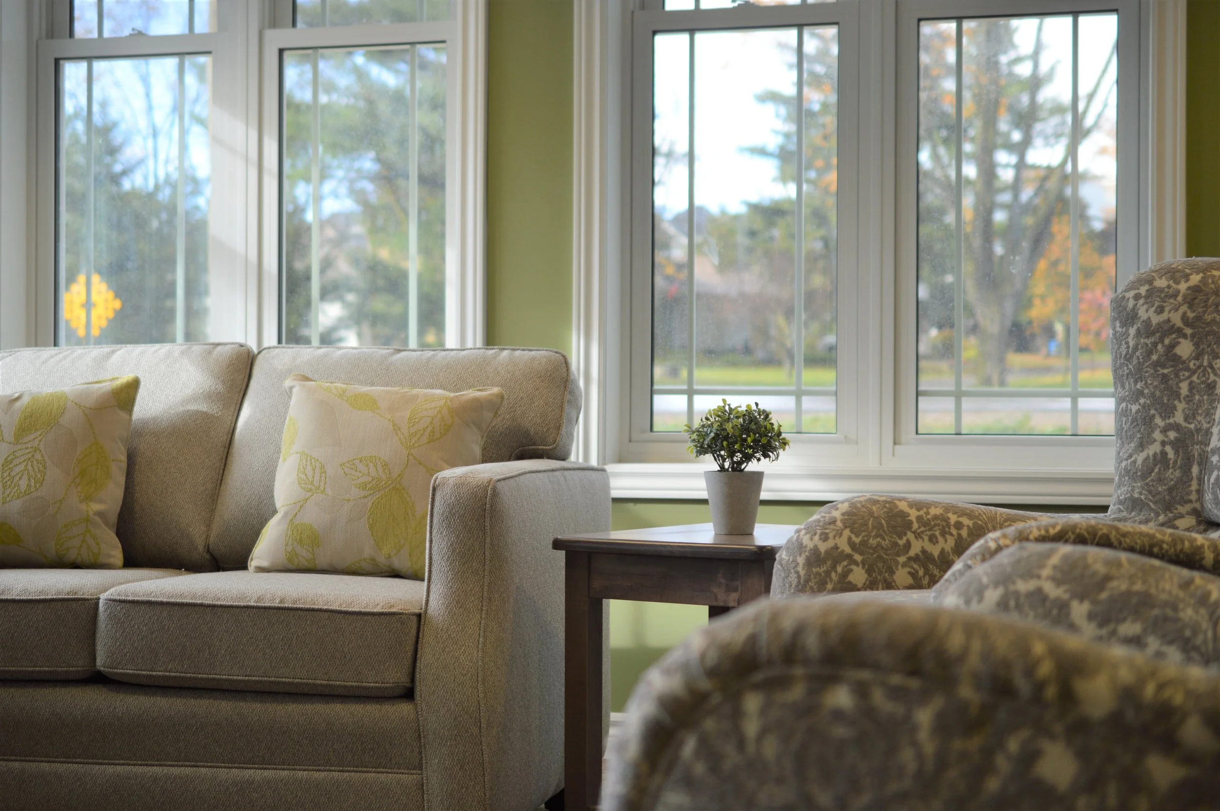 Living room with beige sofa, decorative pillows with leaf patterns, a small wooden side table with a potted plant, and large windows showing trees outside.