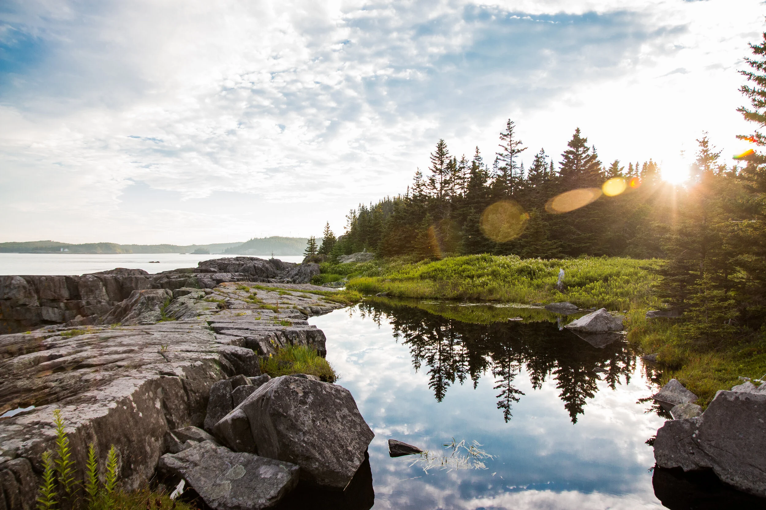 Cutler Coast trail, Maine