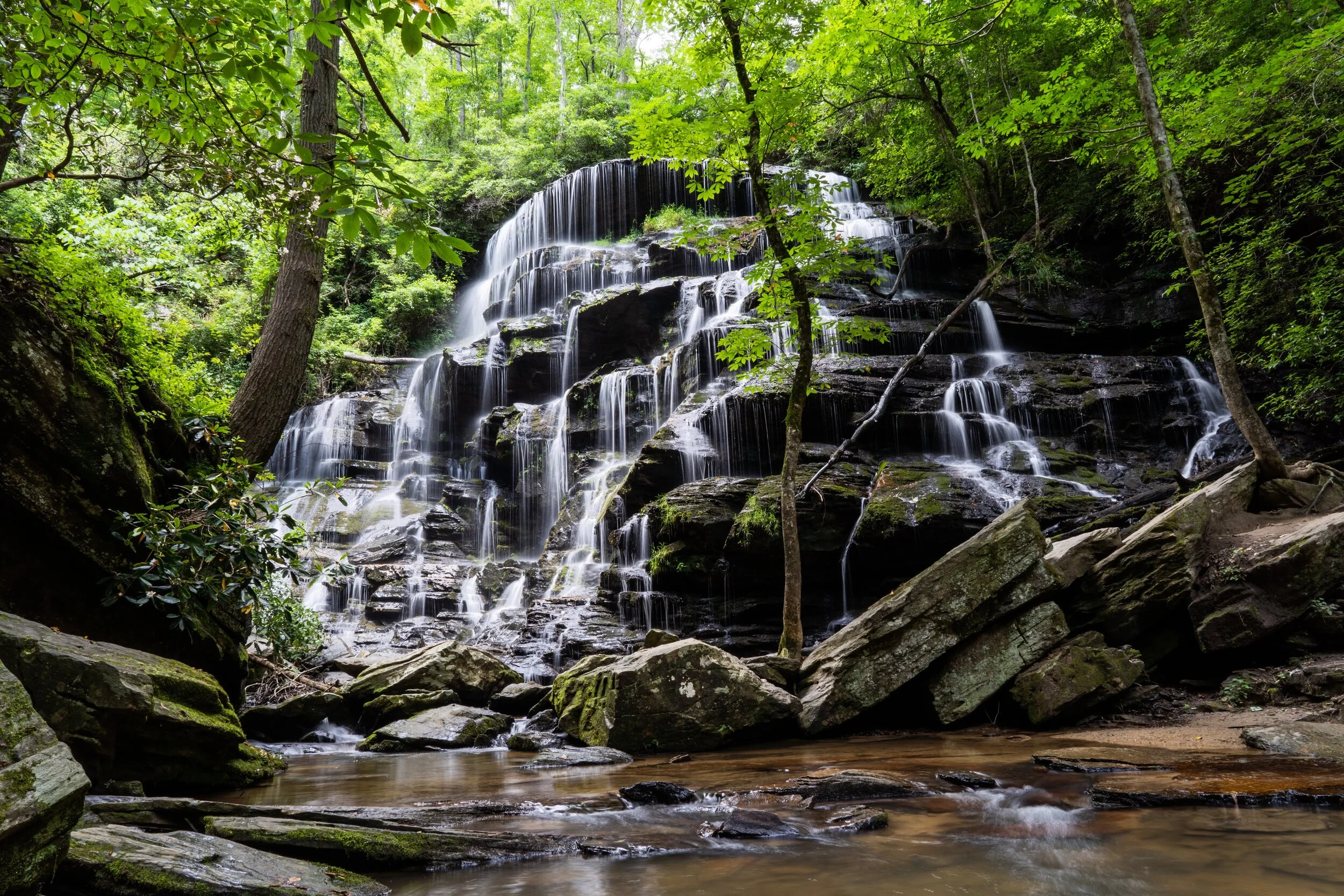 Yellow Branch Falls, SC