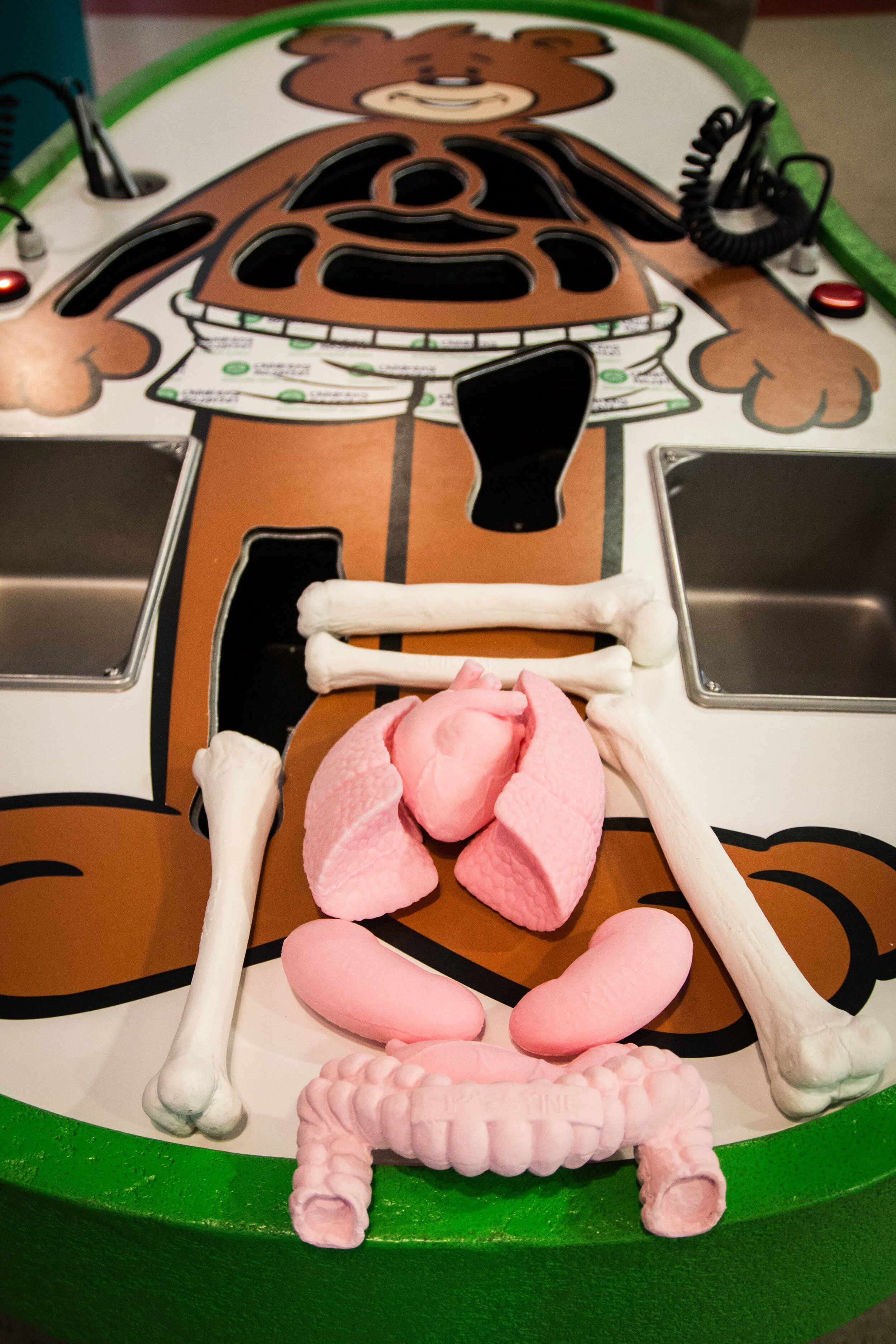 Body parts for the South Carolina Children's Museum. Life sized operation game.