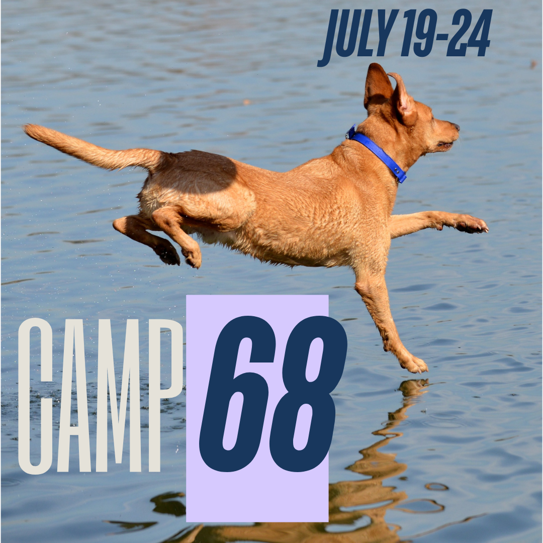 Camp 68