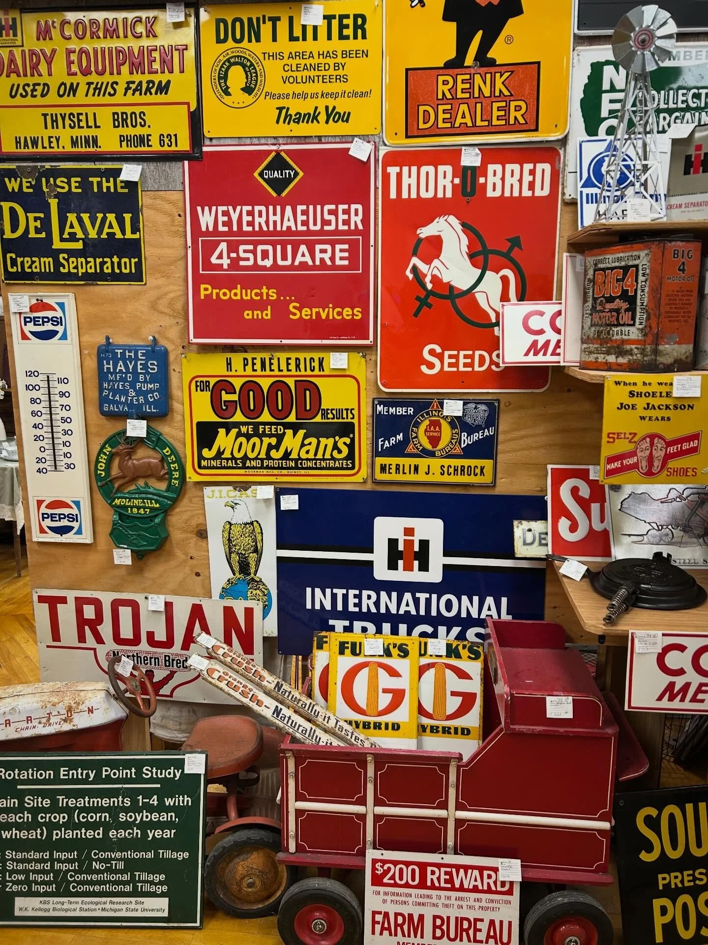 Time for some new farm flair! Come see us today from 10-5! 🌈🪩⚡️