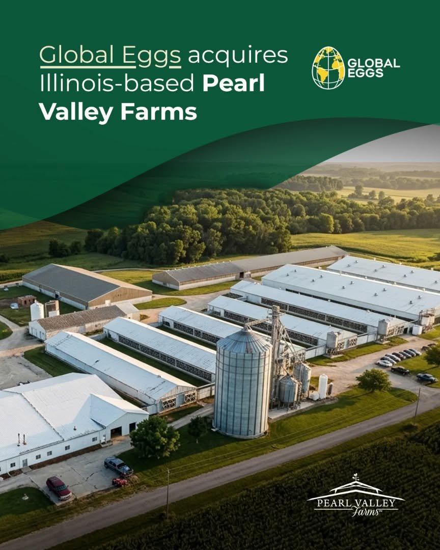 🌍 We&rsquo;re proud to share an exciting milestone.

Global Eggs has acquired Pearl Valley Farms, a respected, family-owned producer based in Illinois. This acquisition expands Global Eggs' flock size, while strengthening our ability to serve custom