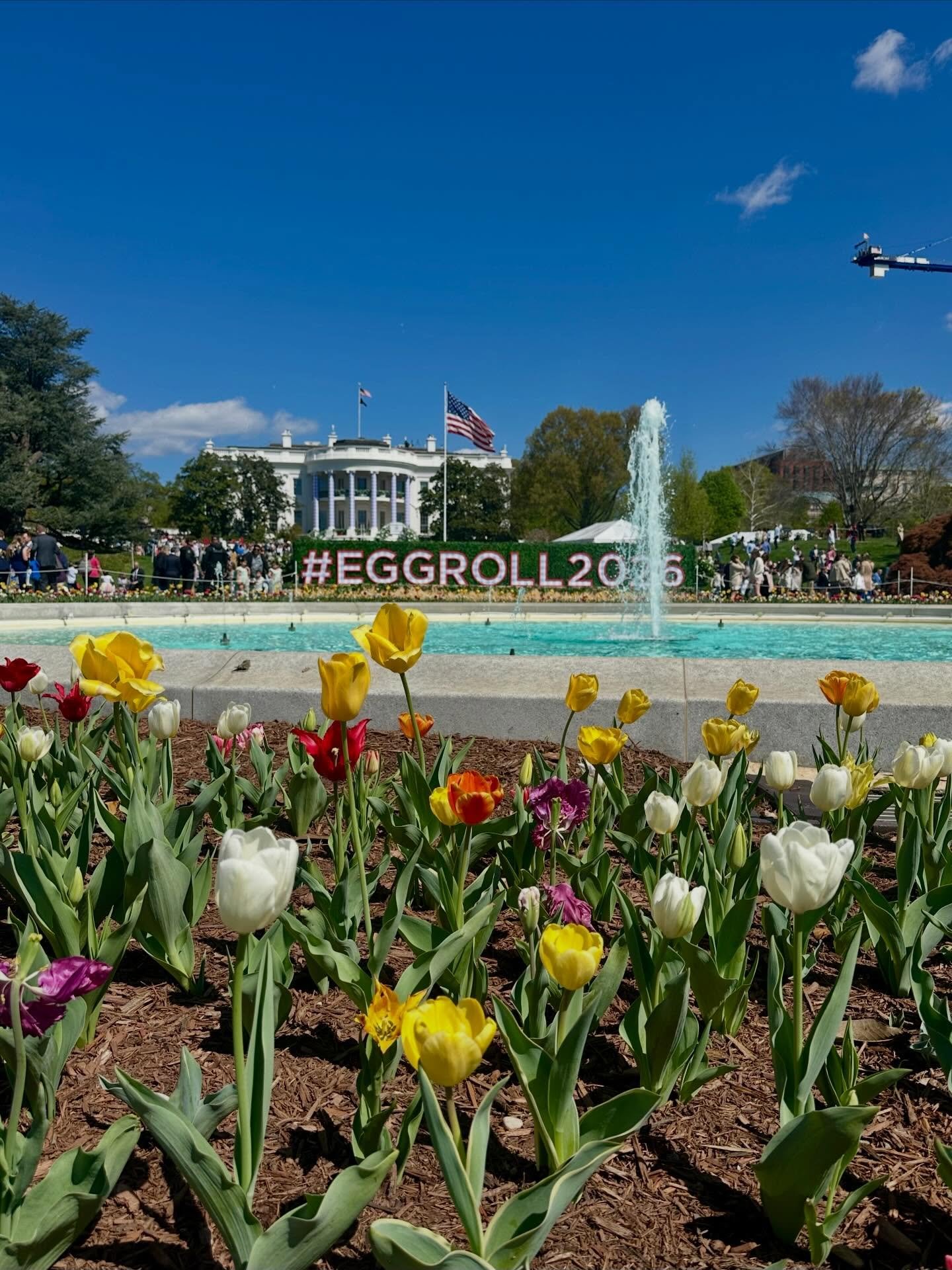 Huge thanks to @incredibleegg for hosting a wonderful couple of days in Washington DC. From the famous White House Easter Egg Roll to the Egg Salad Luncheon Education Session at Capitol Hill, it was an impact two days. Proud to be a part of a strong 