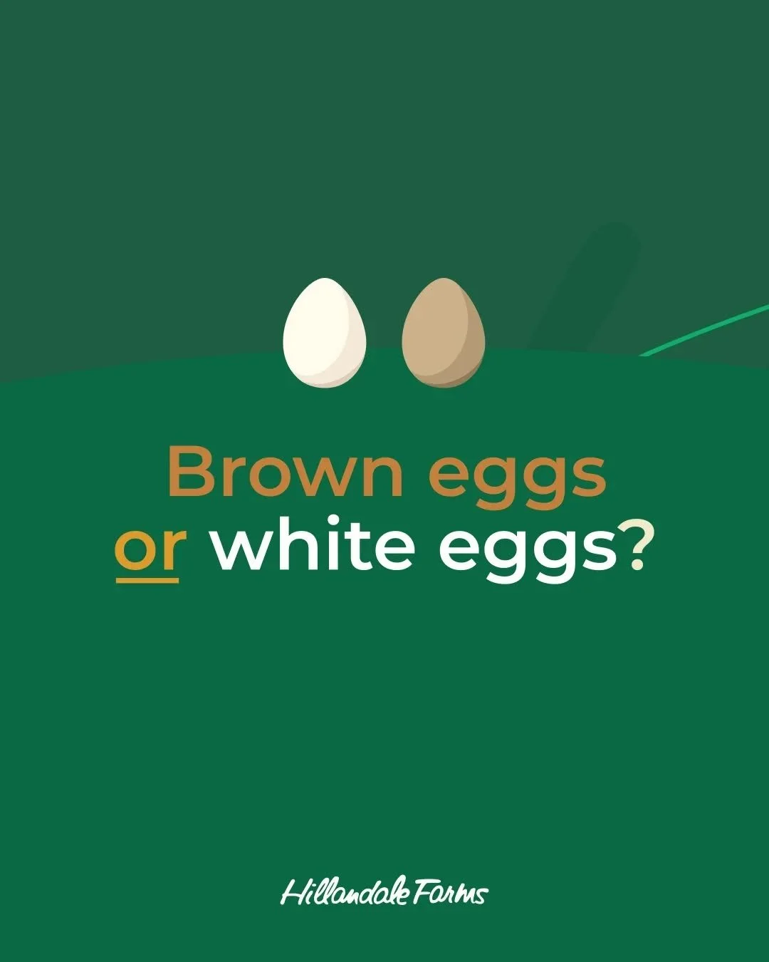 Ever wondered why some eggs are brown and others are white? 👀

Brown hens or white hens, their color is what determines the color of the eggs. 

🥚Same flavor. Same quality. Same nutrition.

#eggs #EggRecipes #breakfast