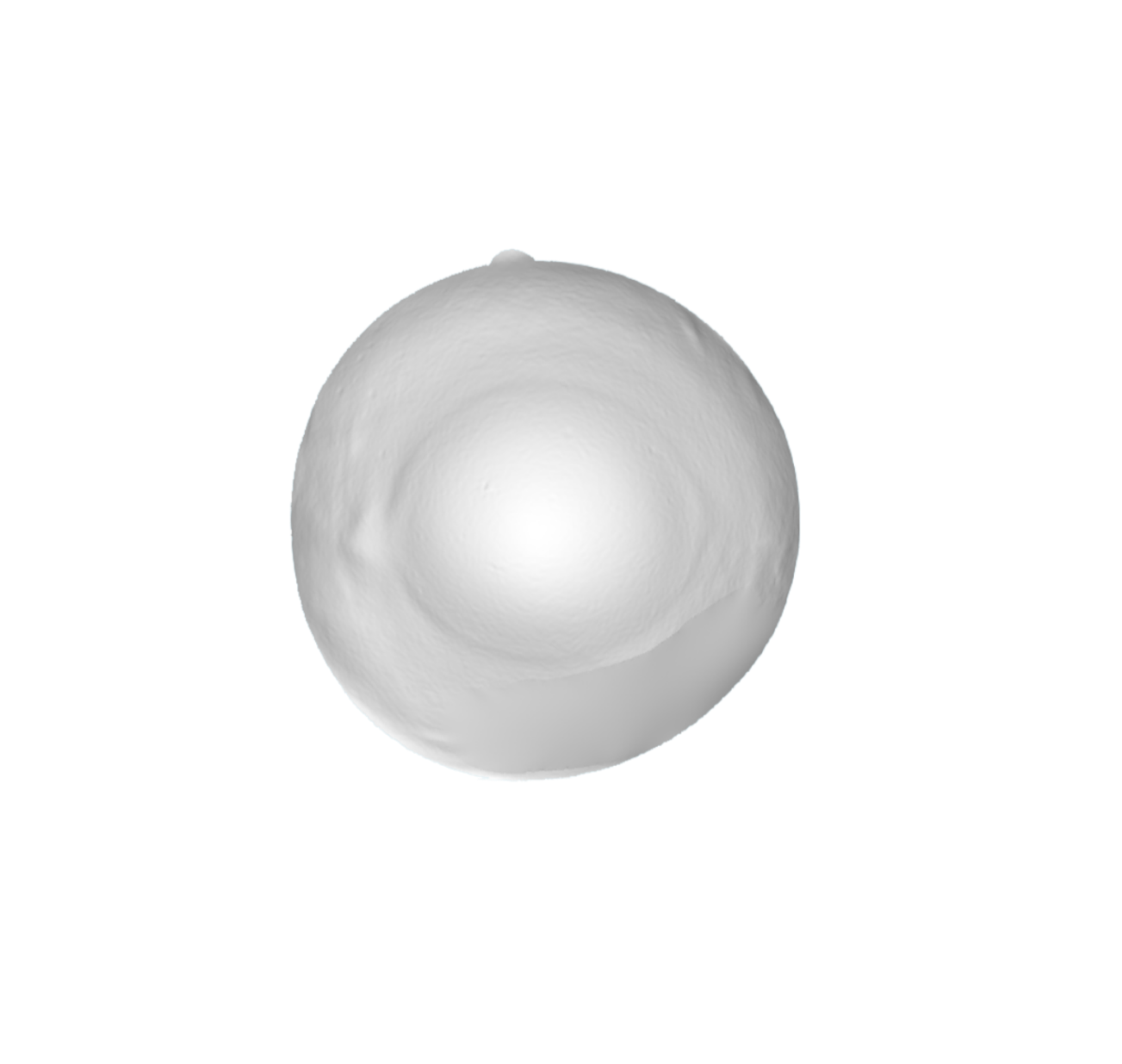 SCL.Studio+Logo+%284%29.png