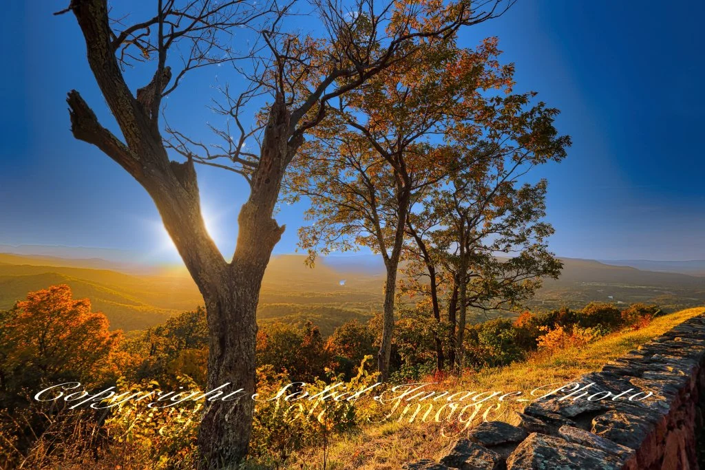 Shenandoah Valley shots1.jpg