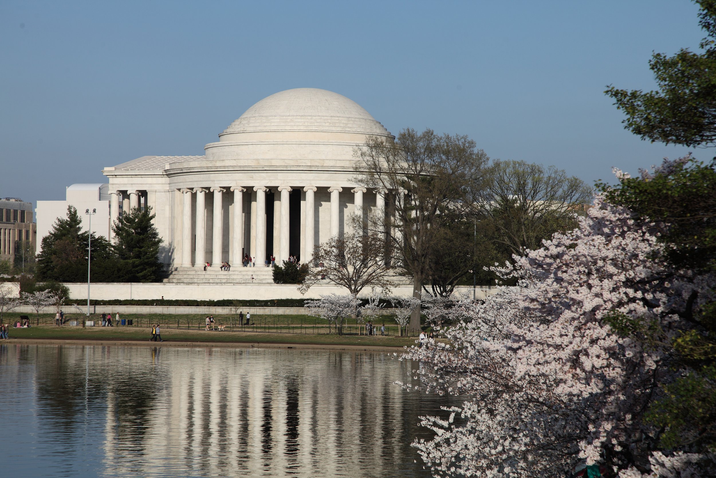 The Jefferson Memorial, a neoclassical monument with white marble columns and a large dome, surrounded by cherry blossom trees and reflected in the water of the Tidal Basin in Washington, D.C.