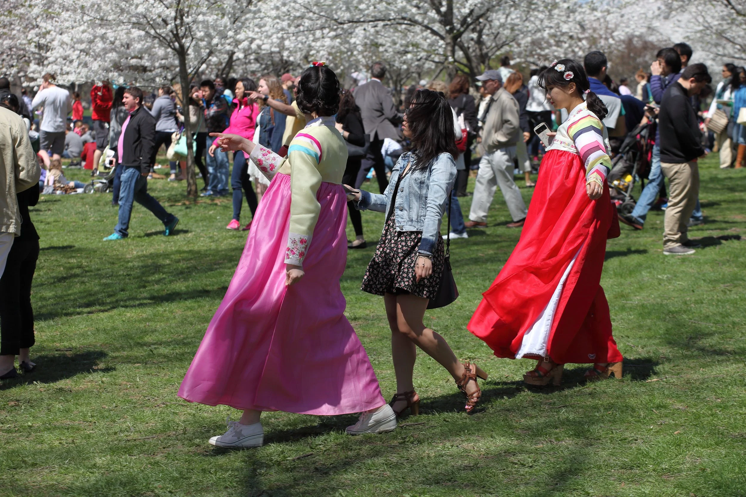 Cherry Blossom Festival140.jpeg