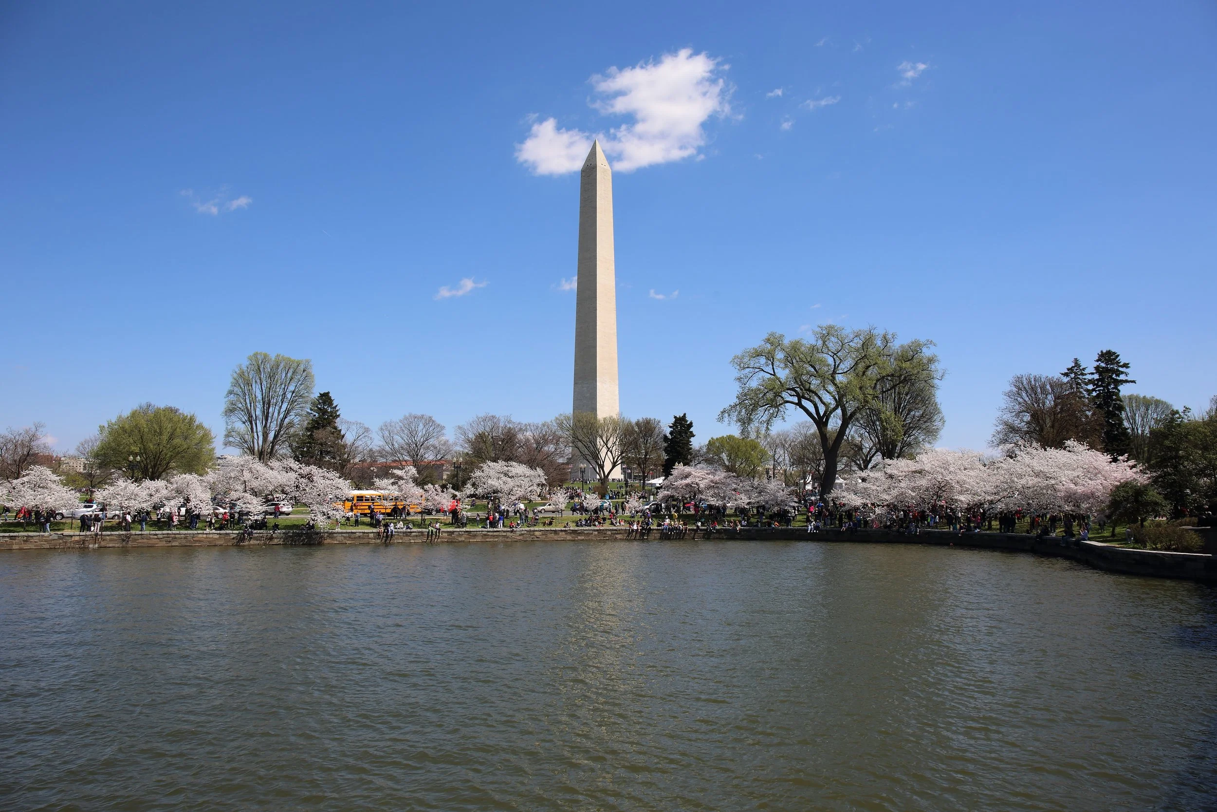 Cherry Blossom Festival088.jpeg