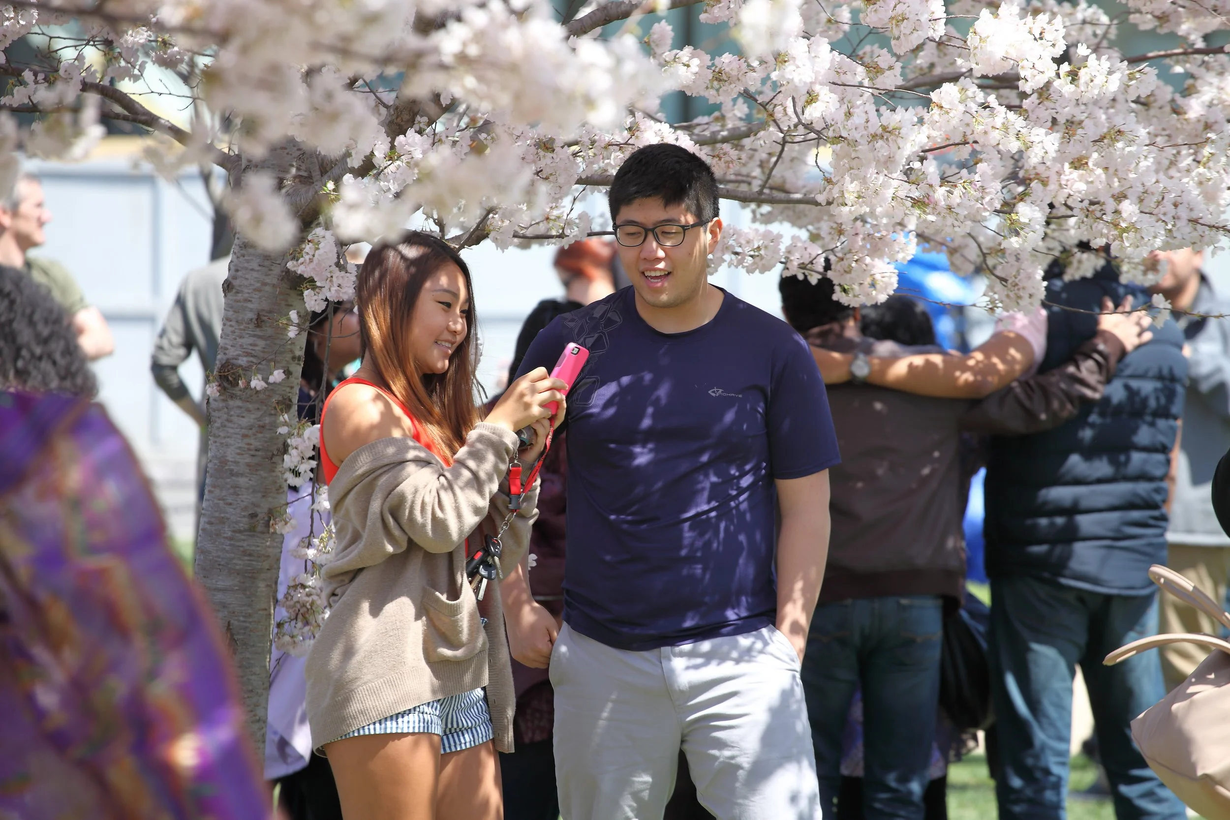 Cherry Blossom Festival187.jpeg