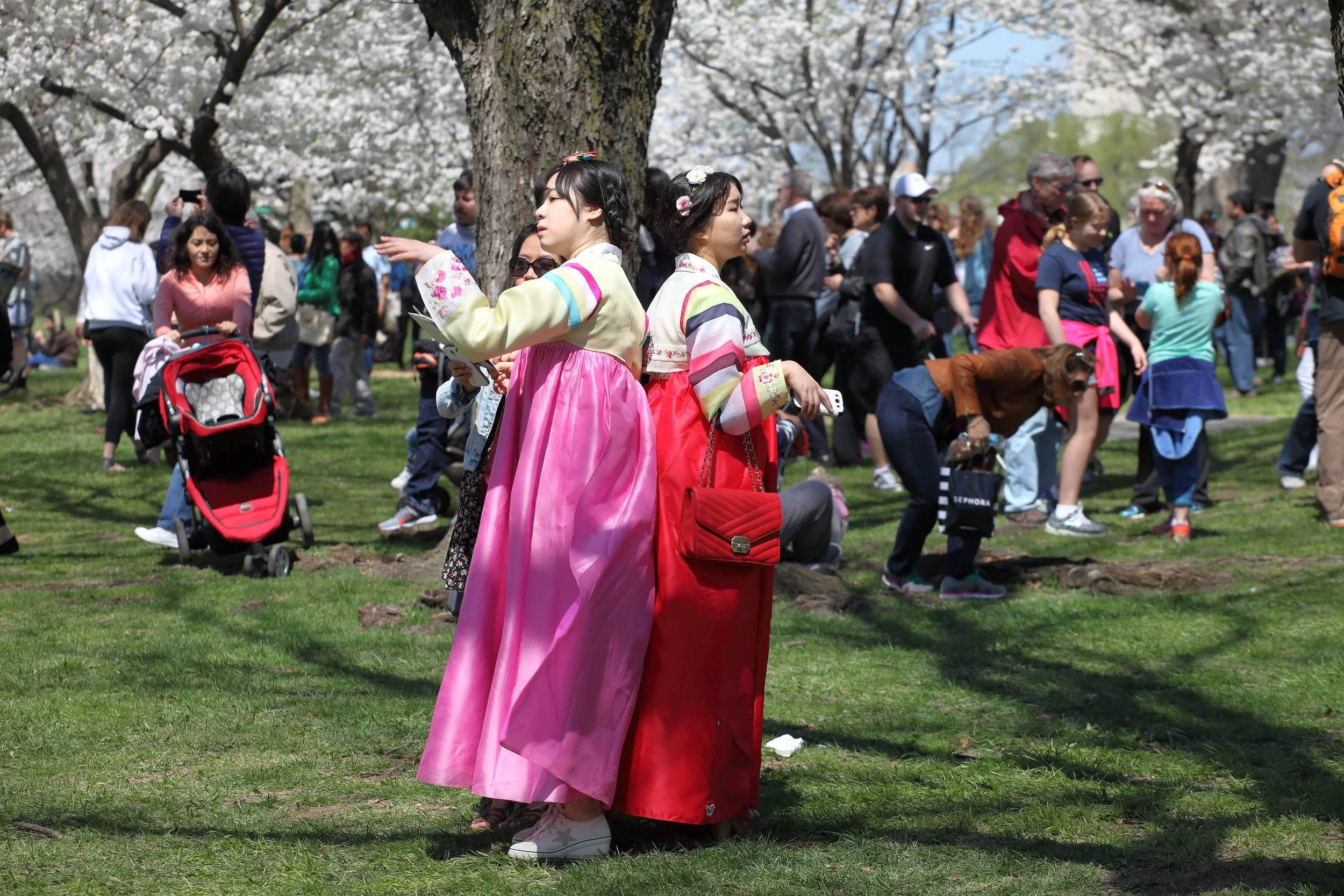Cherry Blossom Festival139.jpeg