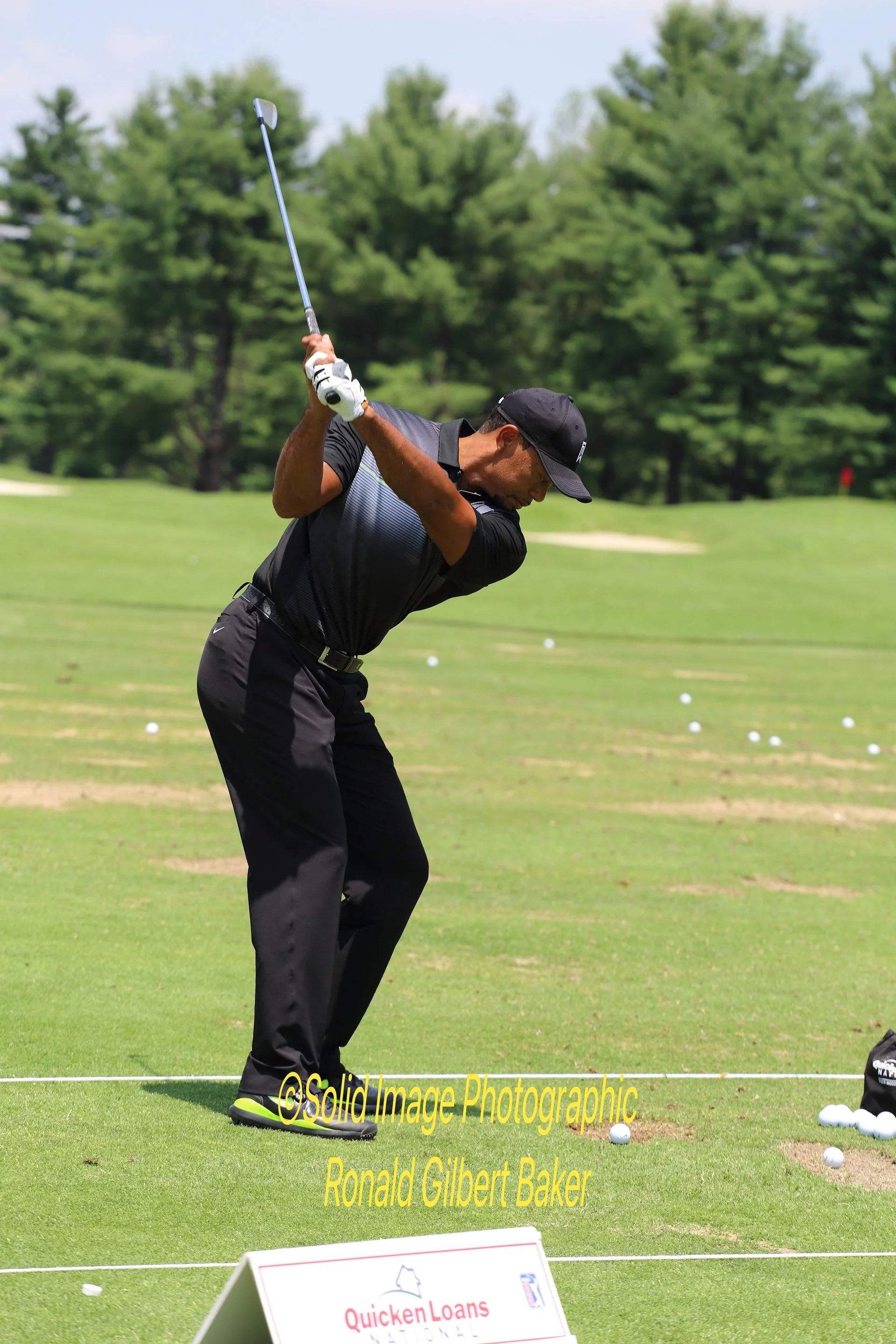 Tiger Returns481_pe.jpg