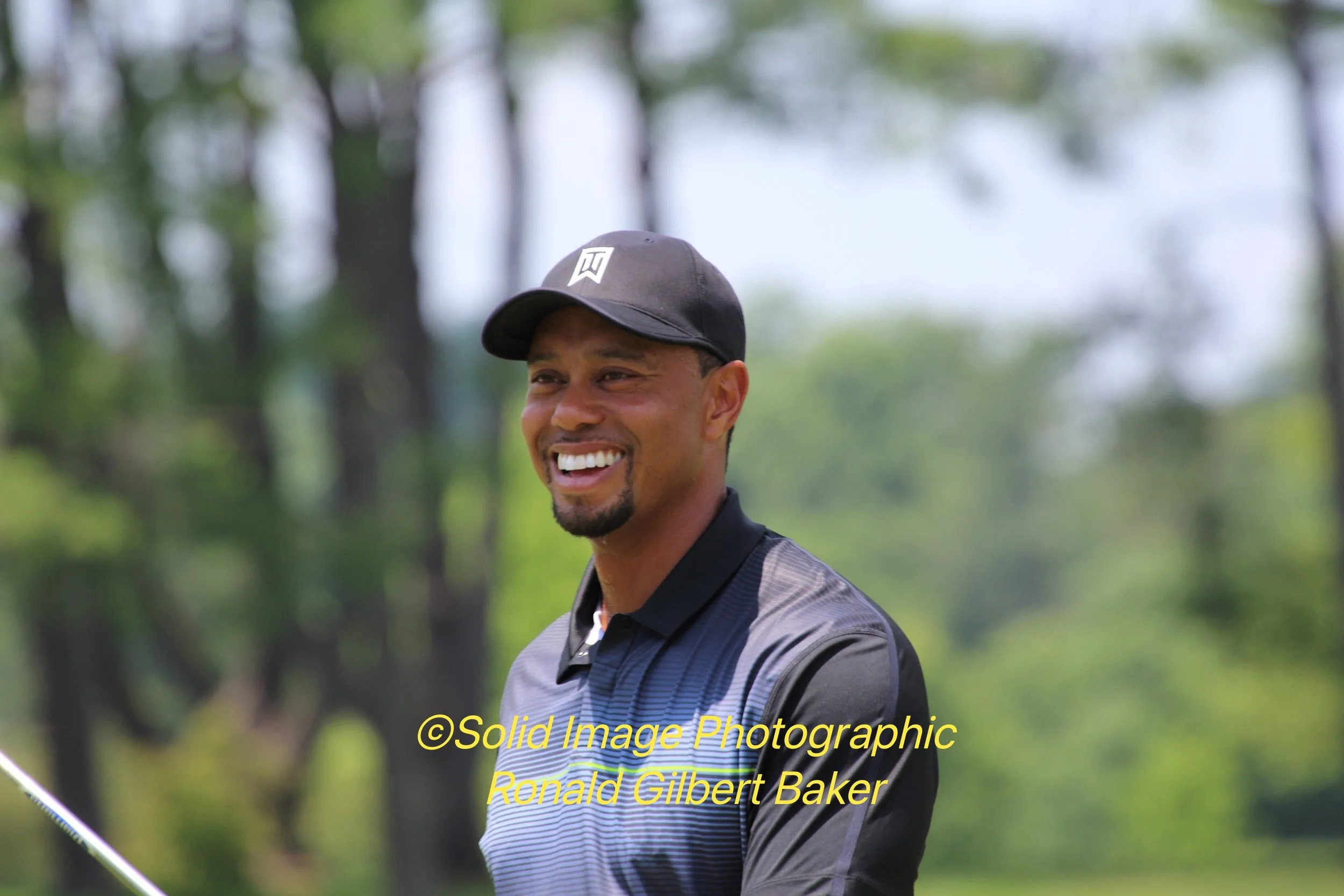 Tiger Returns655_pe.jpg