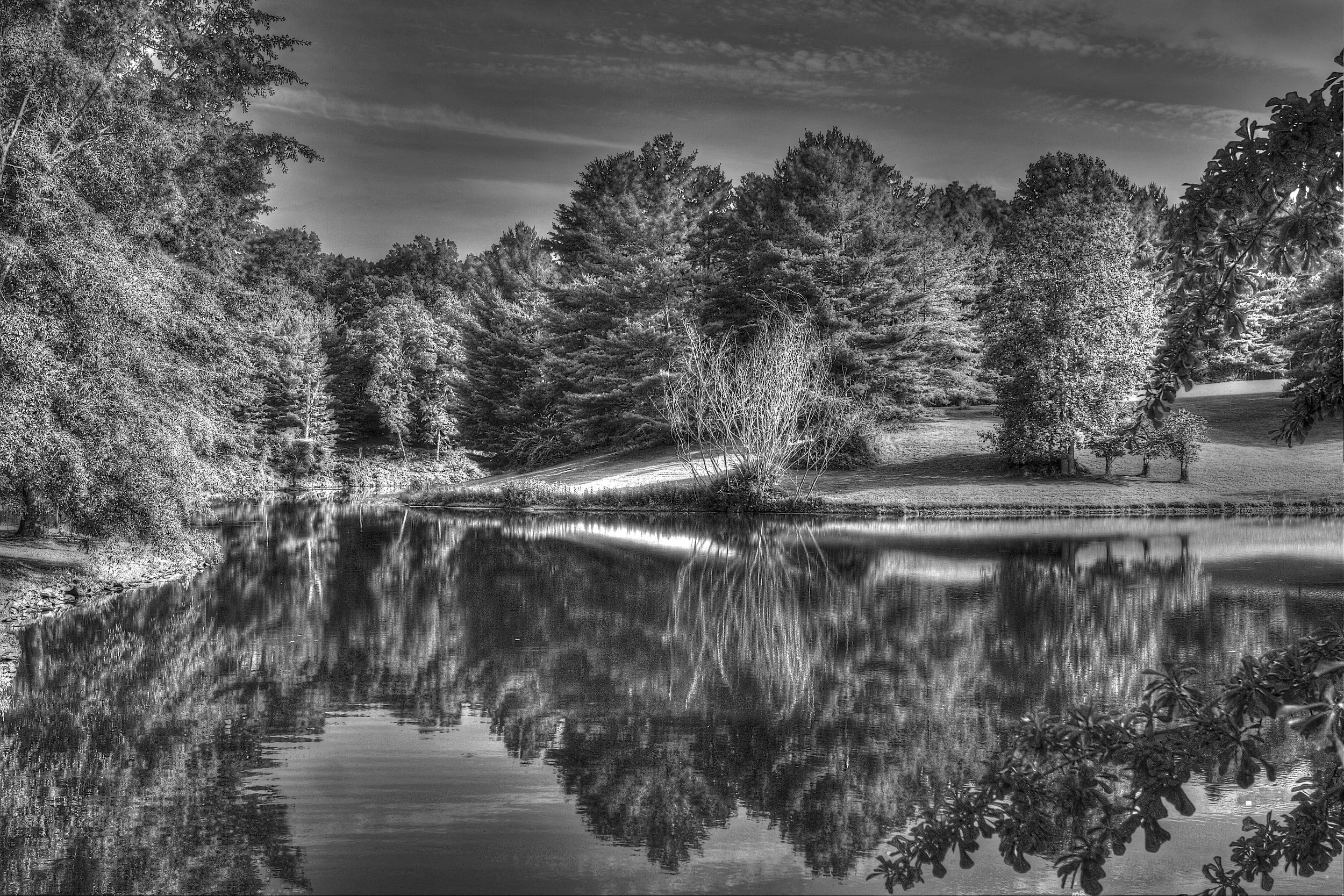 A black and white photo of a peaceful pond surrounded by trees, with the water reflecting the trees and sky.