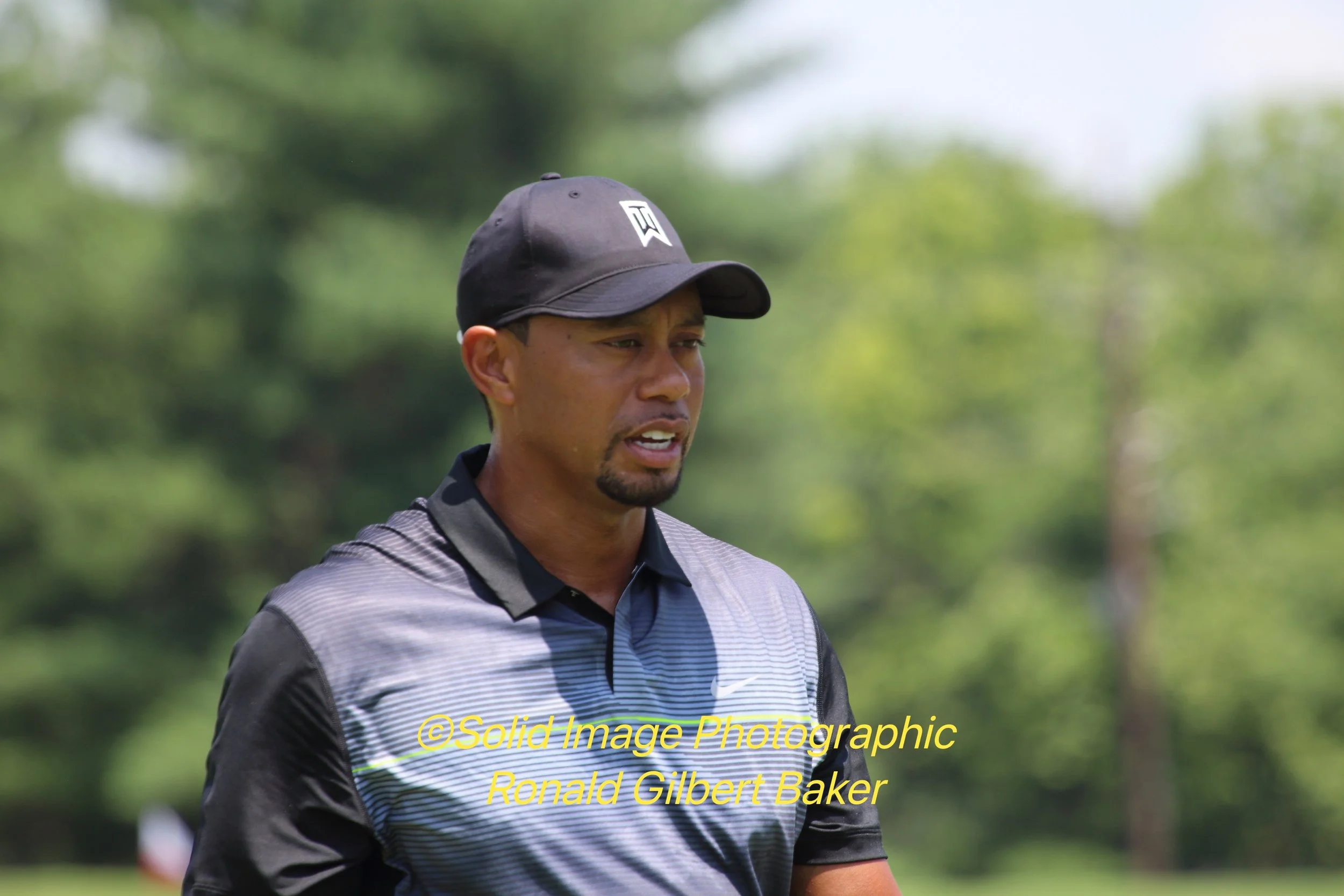 Tiger Returns415_pe.jpg