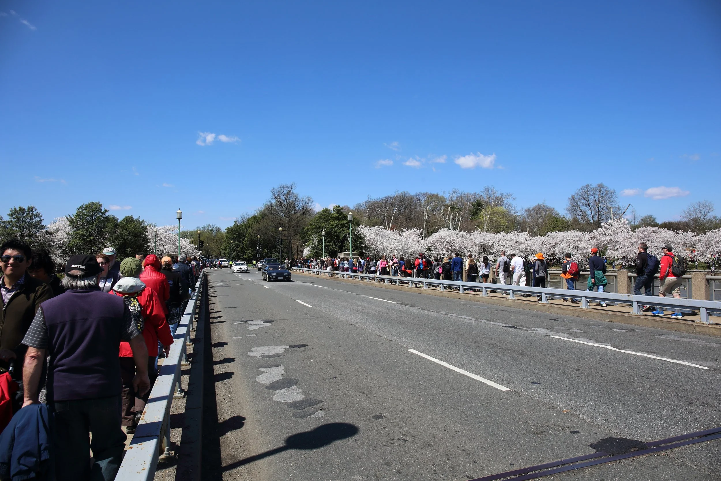 Cherry Blossom Festival087.jpeg