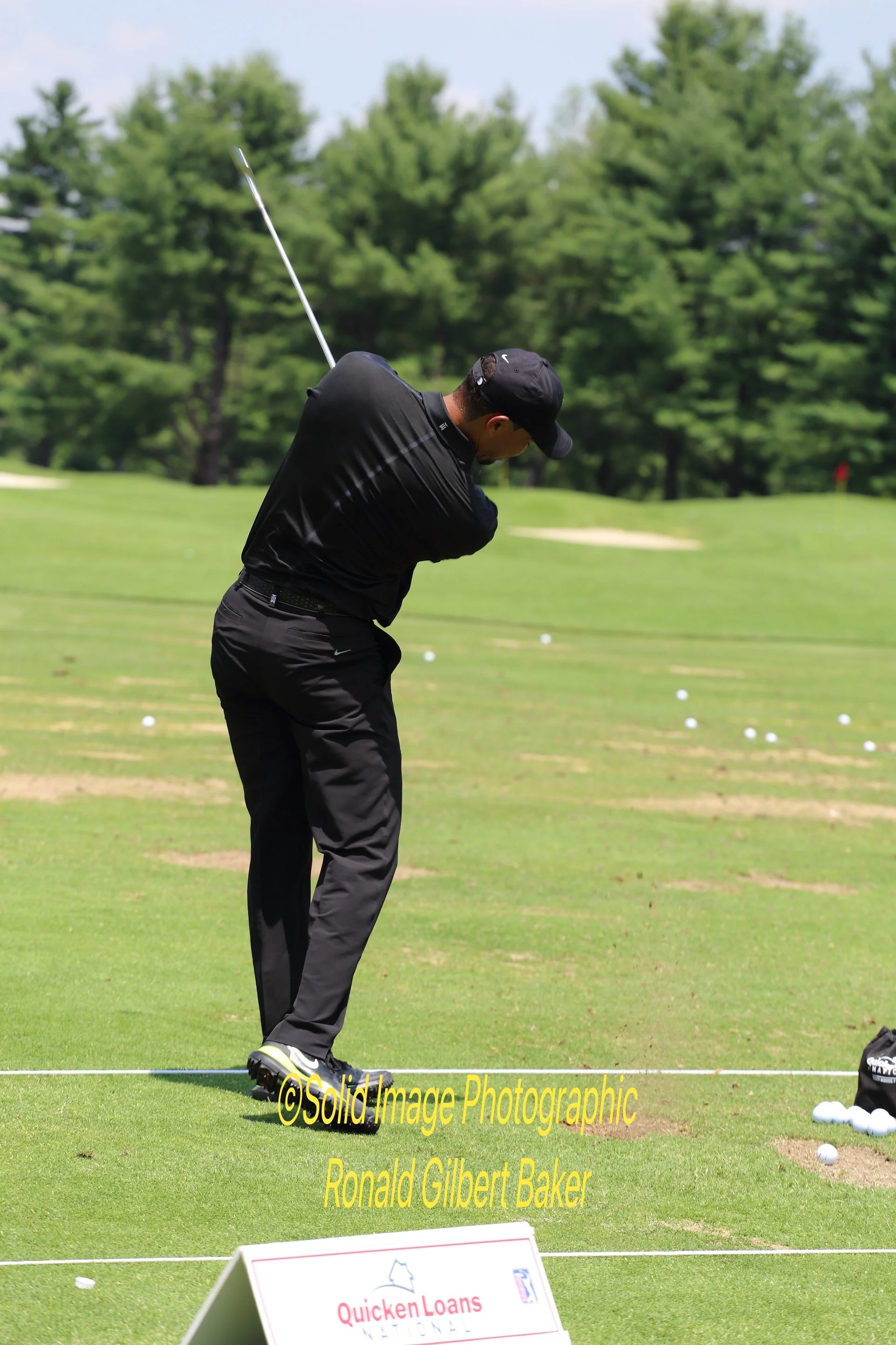 Tiger Returns482_pe.jpg