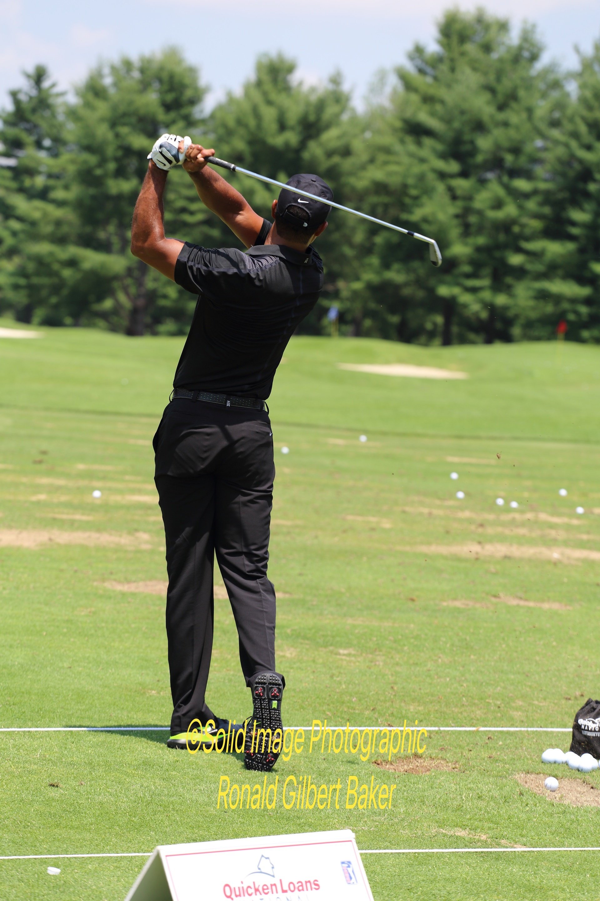 Tiger Returns483_pe.jpg