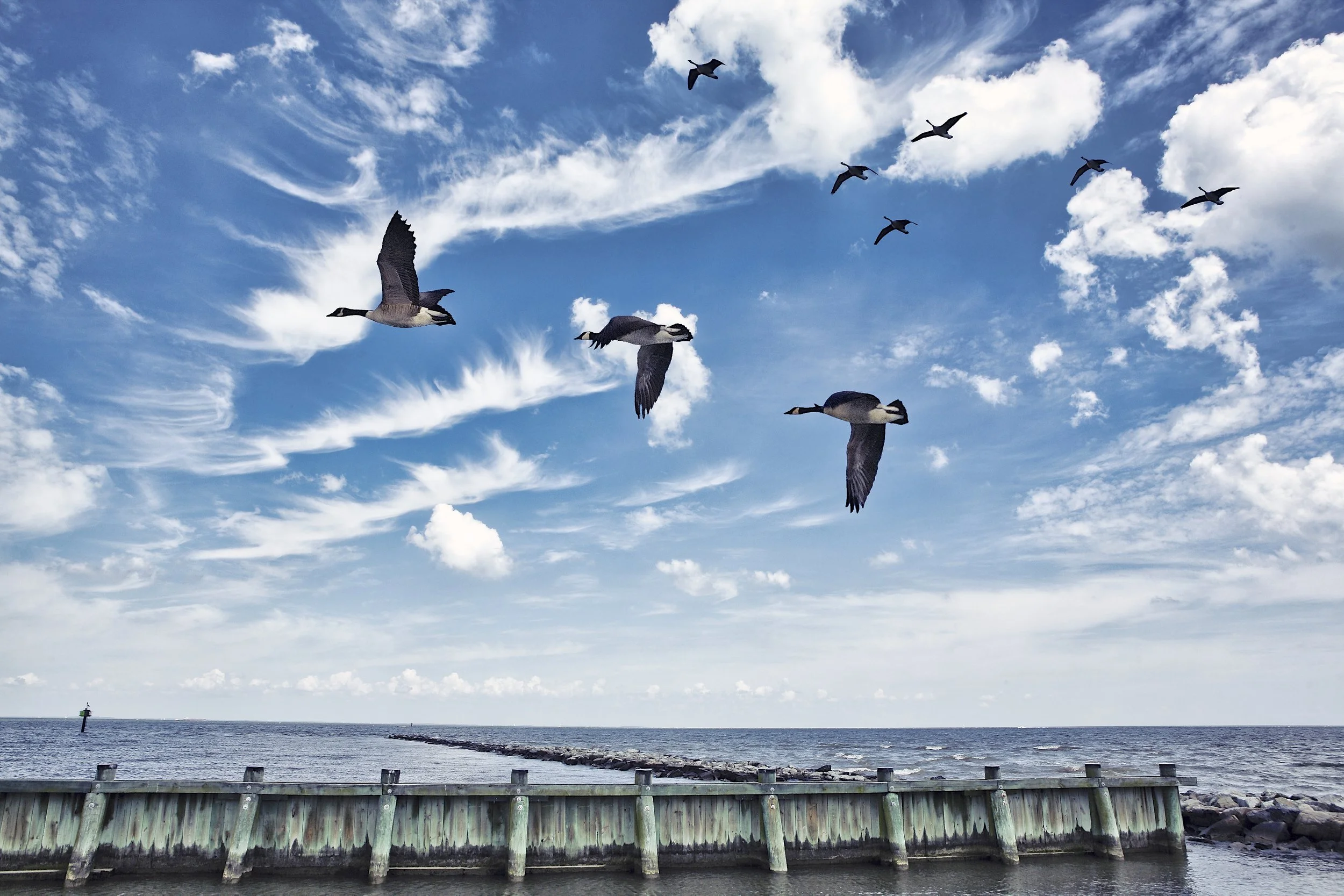 Seagulls flying over a rocky pier with the ocean in the background on a partly cloudy day.