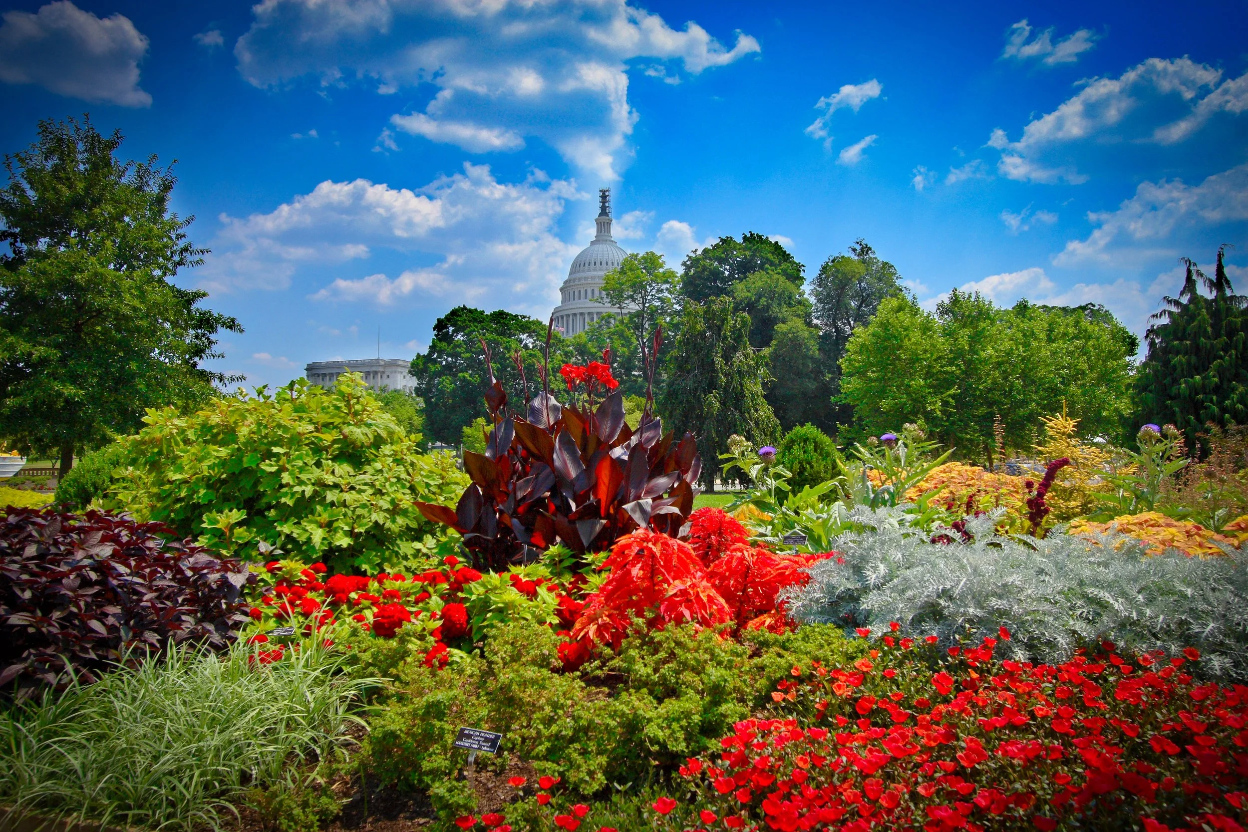 Colorful Botanic Garden with various flowers, plants, and trees in front of the U.S. Capitol building under a blue sky with scattered clouds.