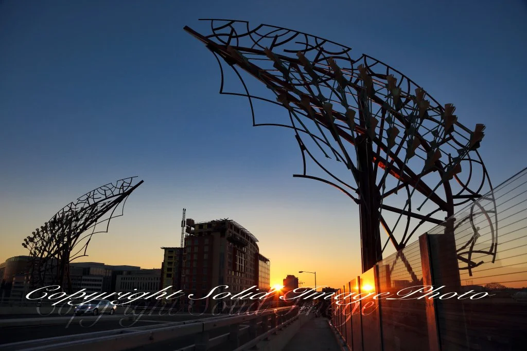 NY_Ave Bridge043.jpg