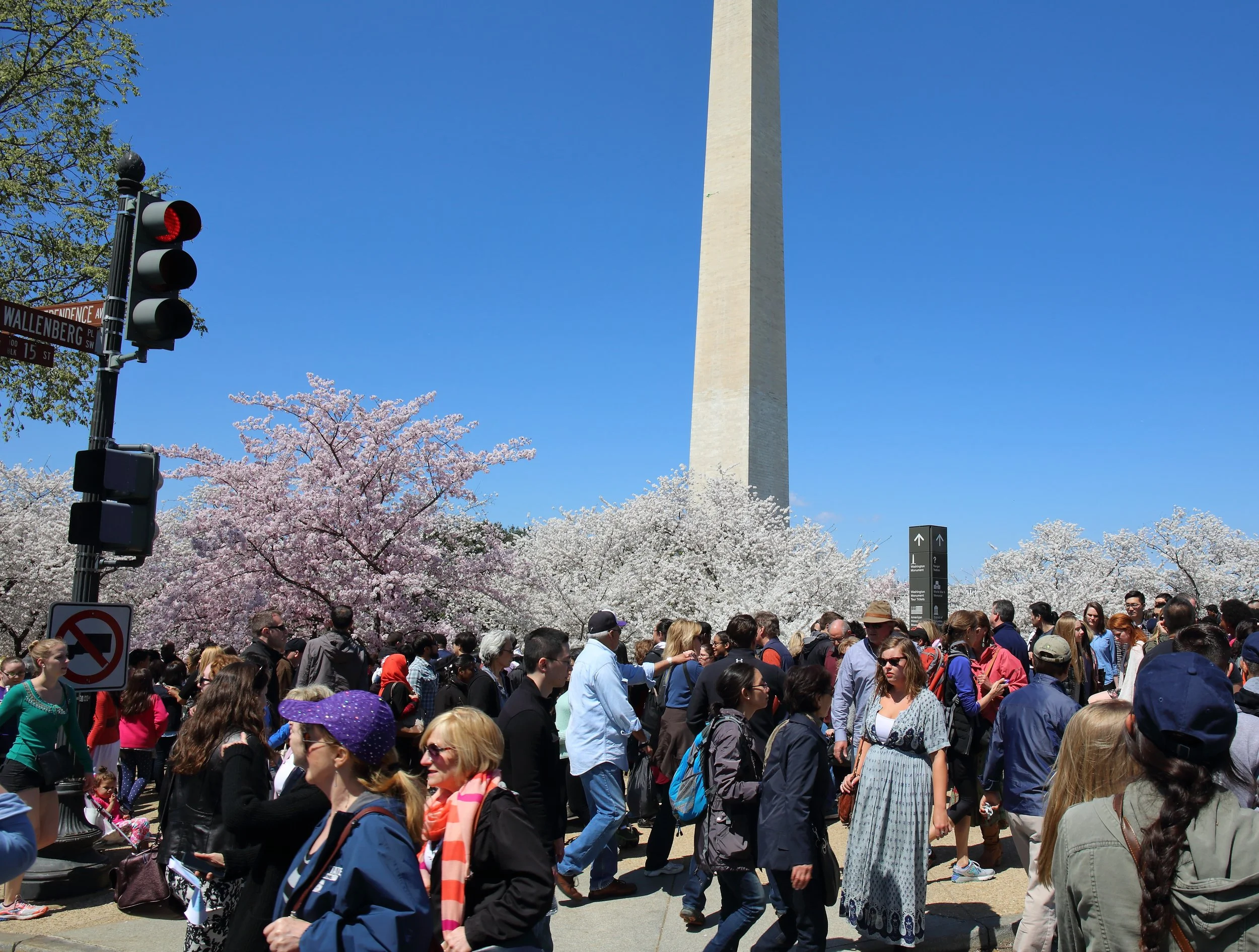 Cherry Blossom Festival165.jpeg