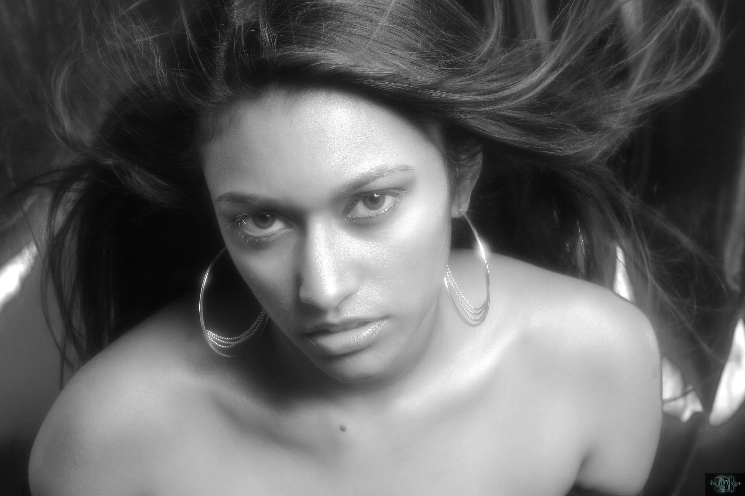 Copyright Solid Image Photo - Ronald G. Baker