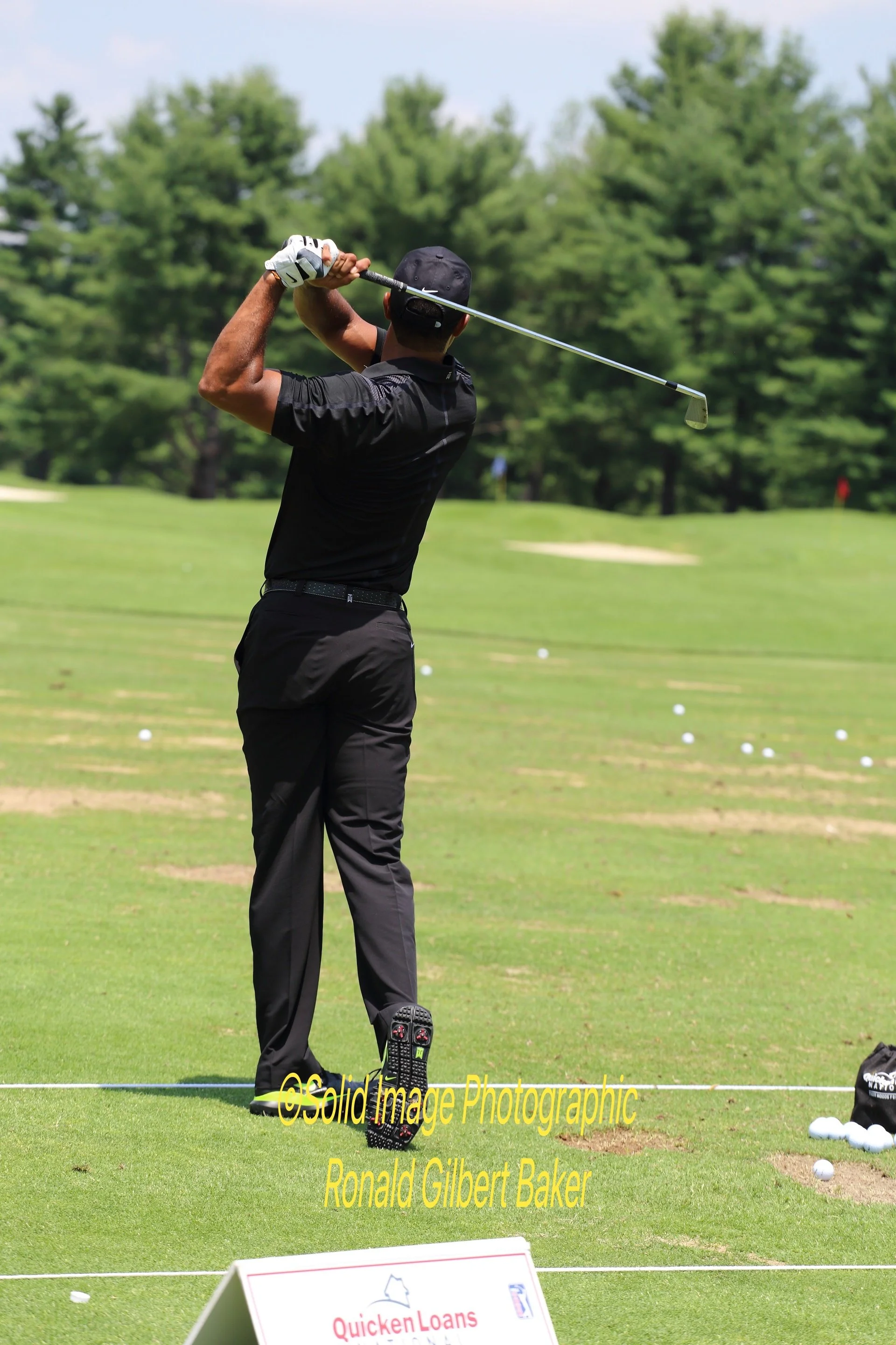 Tiger Returns484_pe.jpg