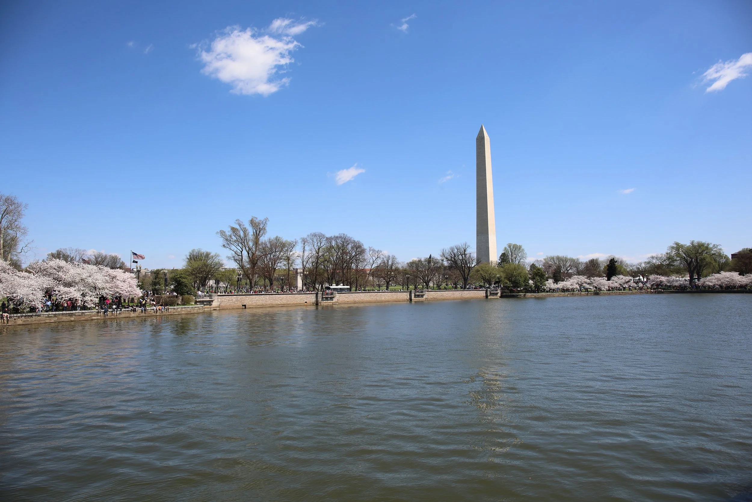 Cherry Blossom Festival085.jpeg