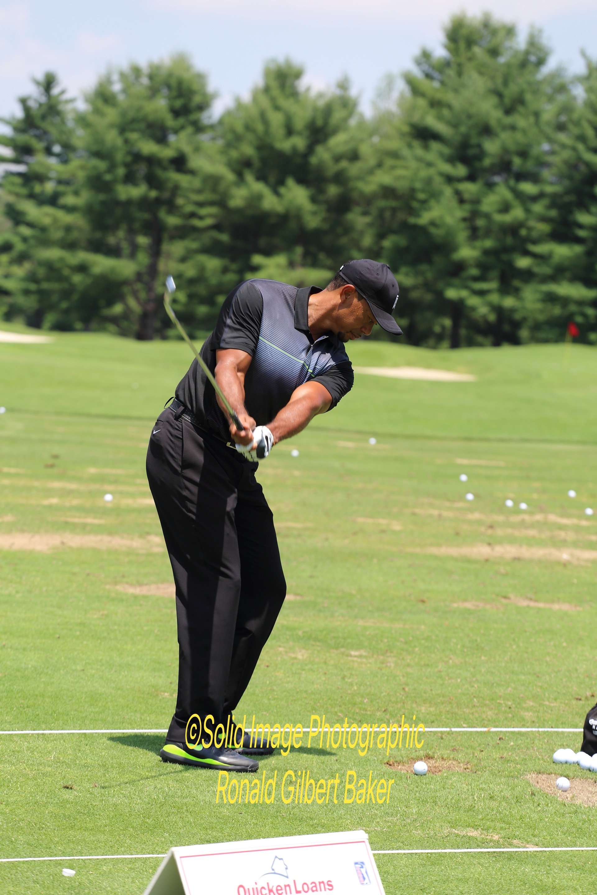 Tiger Returns480_pe.jpg