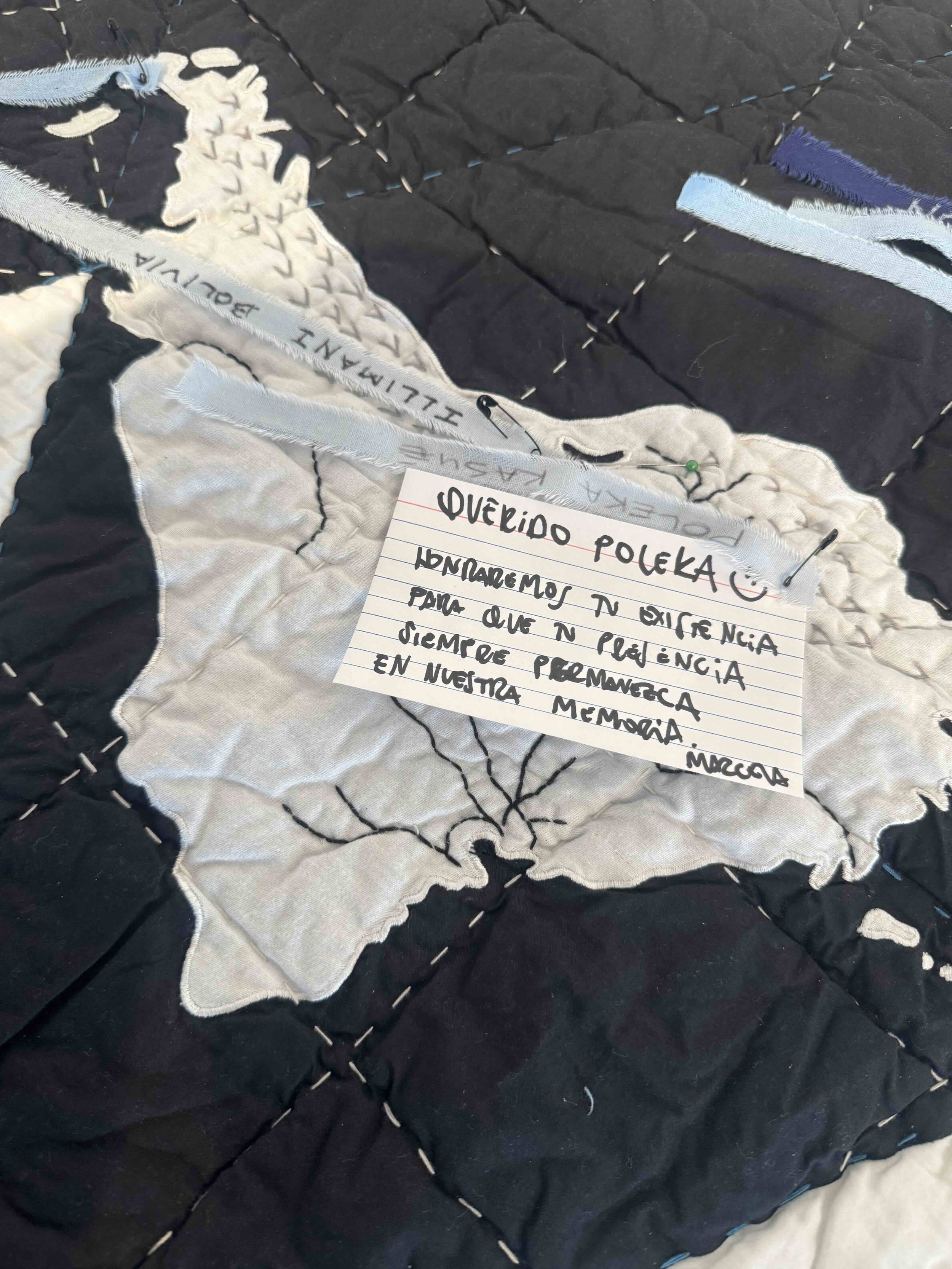 Marcela Fernandez Glacier Snowbank.jpg