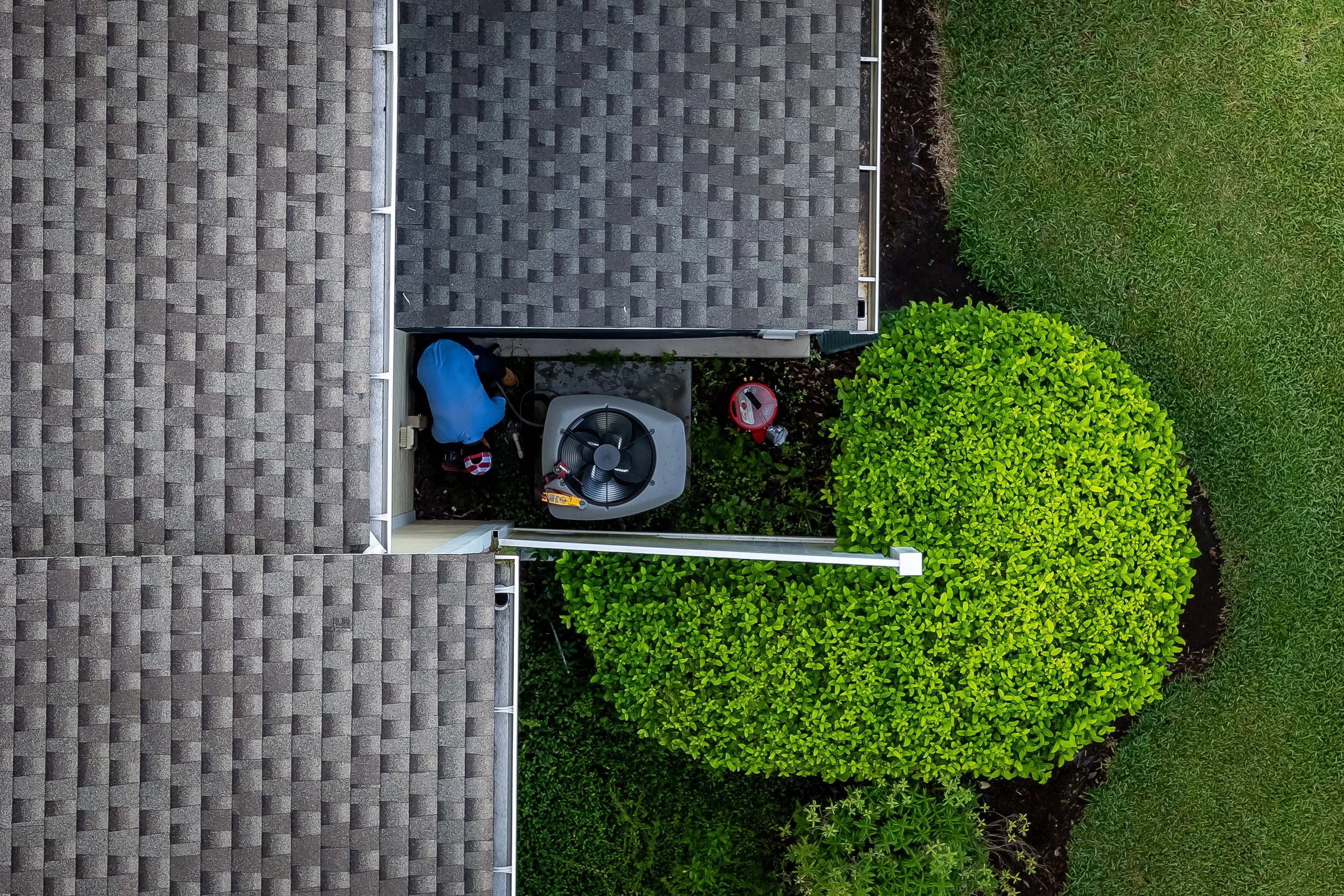 Overhead view of a residential side yard showing a person working, a large green bush, a smaller bush, part of a house with a shingled roof, a lawn, and outdoor equipment including a fan, a red hose reel, and a small step ladder.