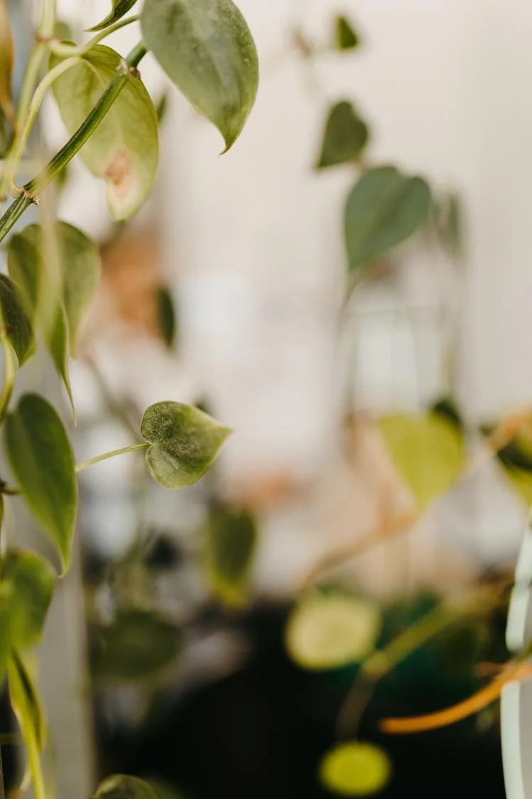 Salon JP BLOG-99.JPG.jpg.jpg