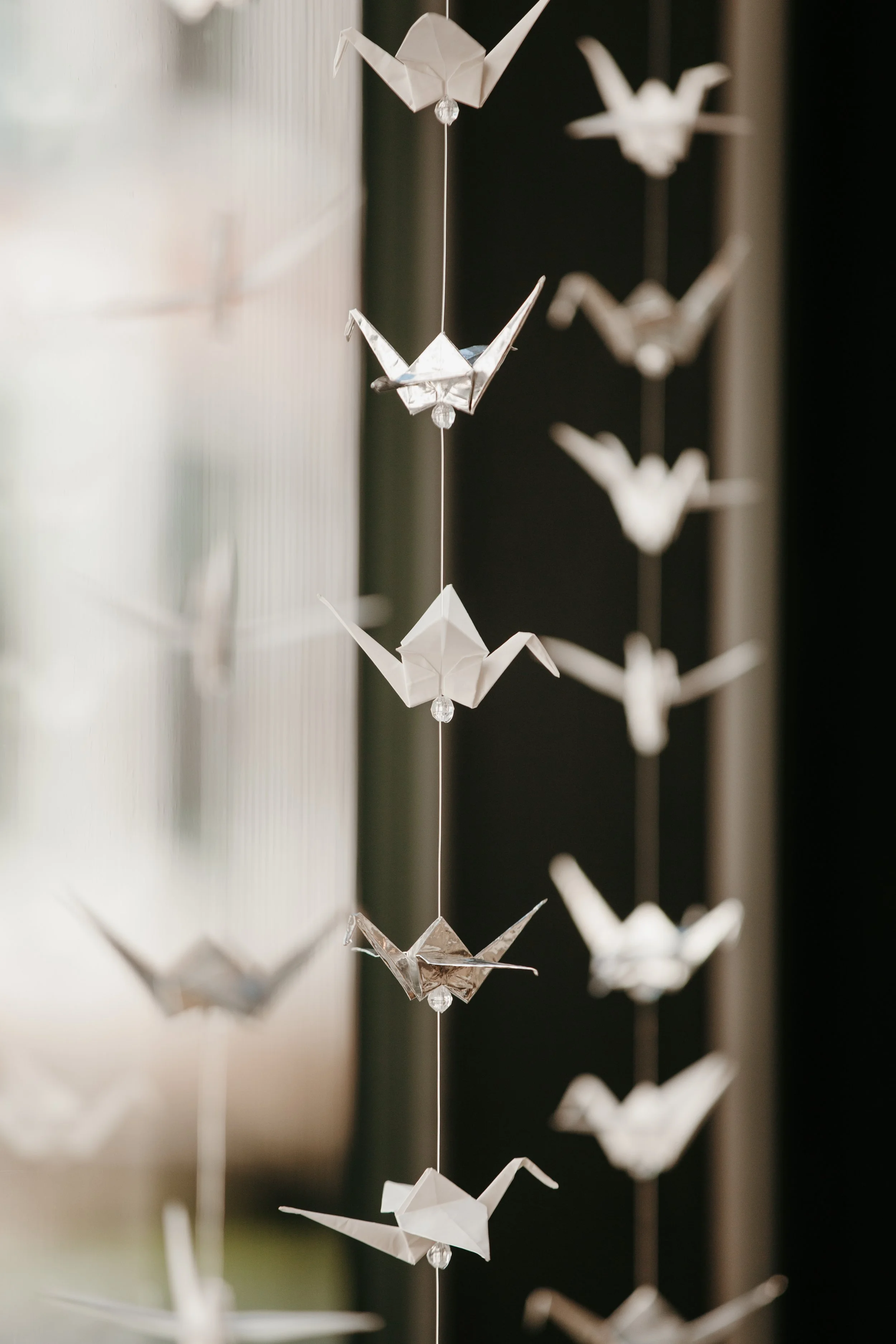 Hailey + Craig BLOG-47.JPG