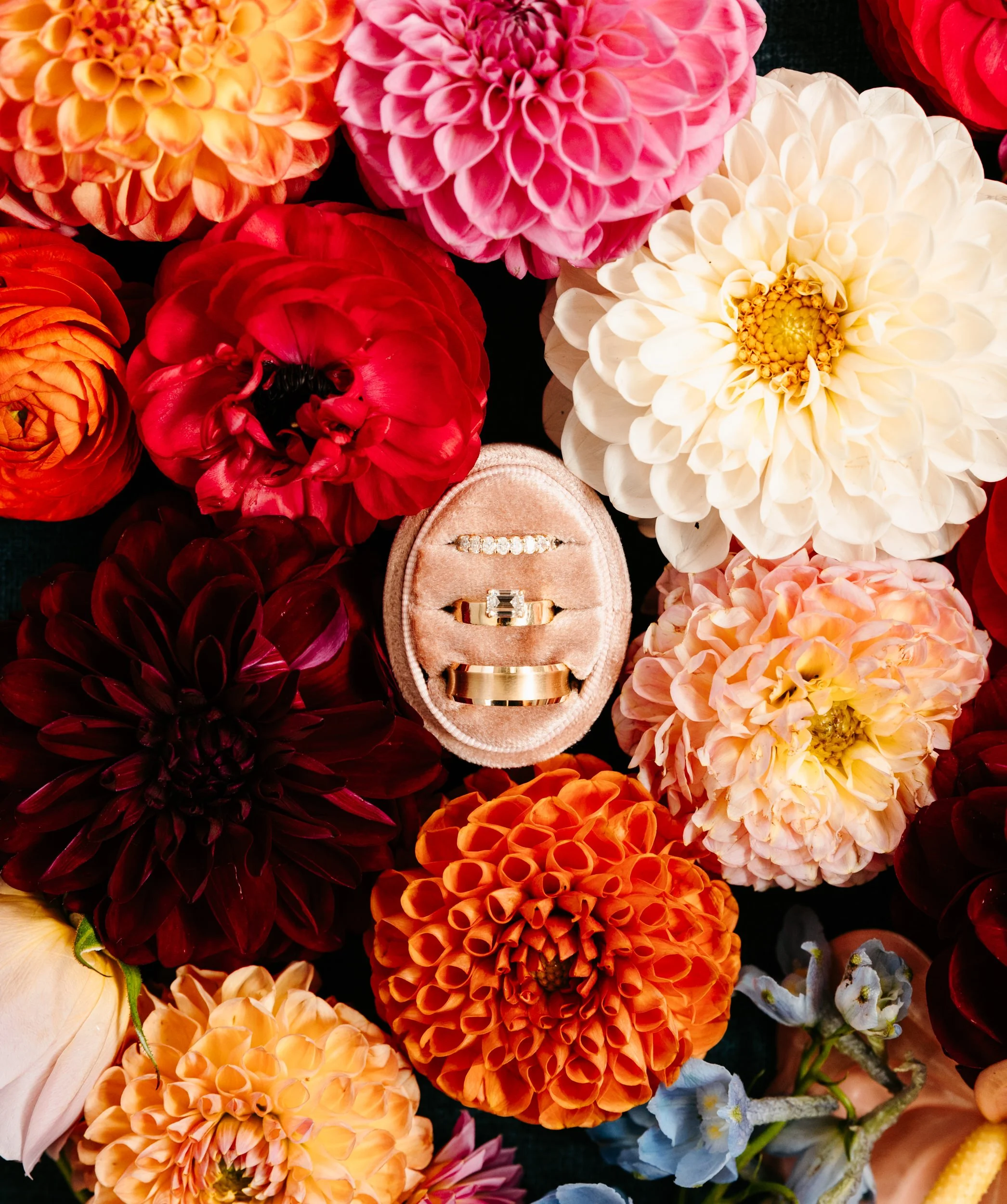 Ivy Room Chicago Wedding-5.JPG