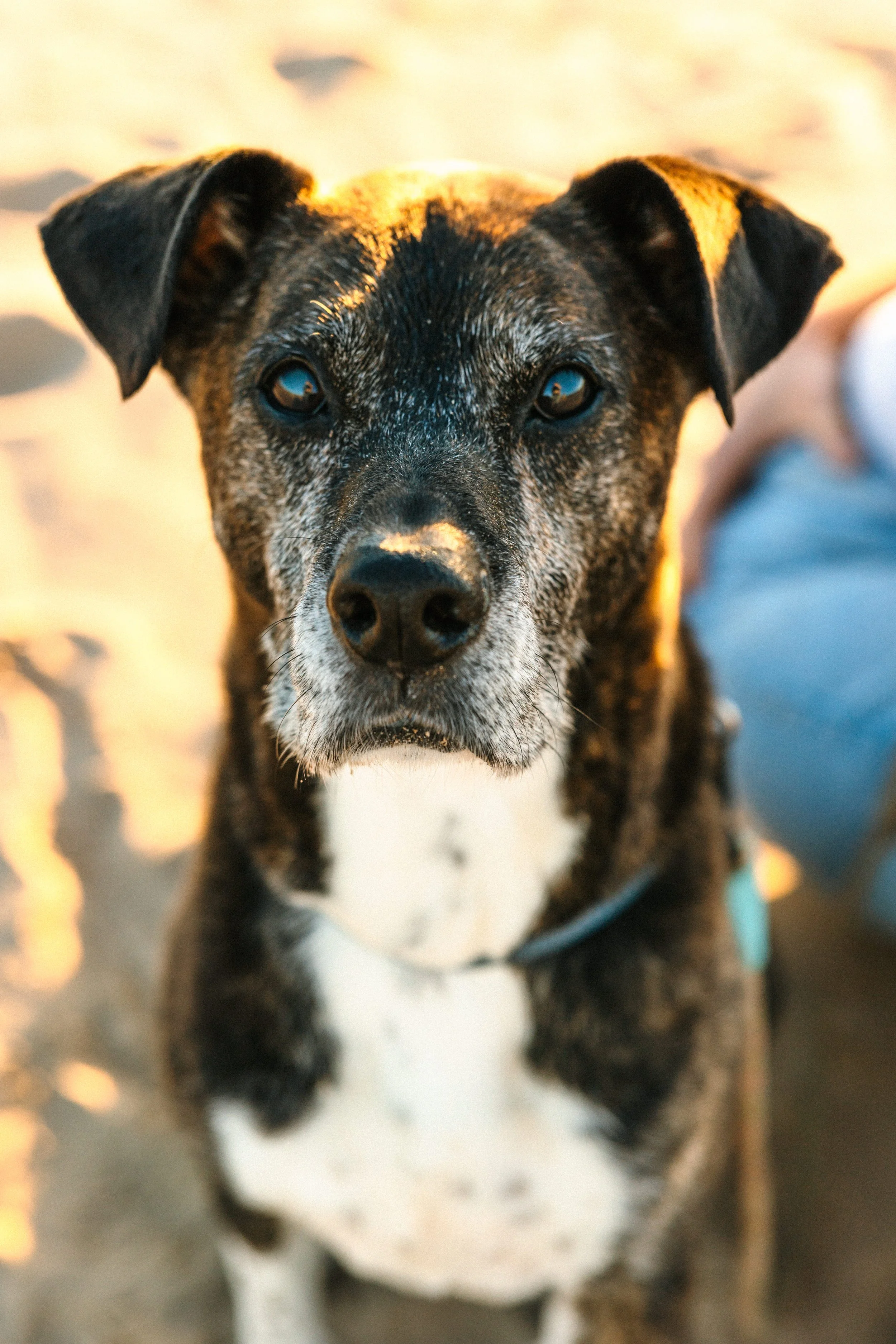 Andi + Logan Previews-35.JPG