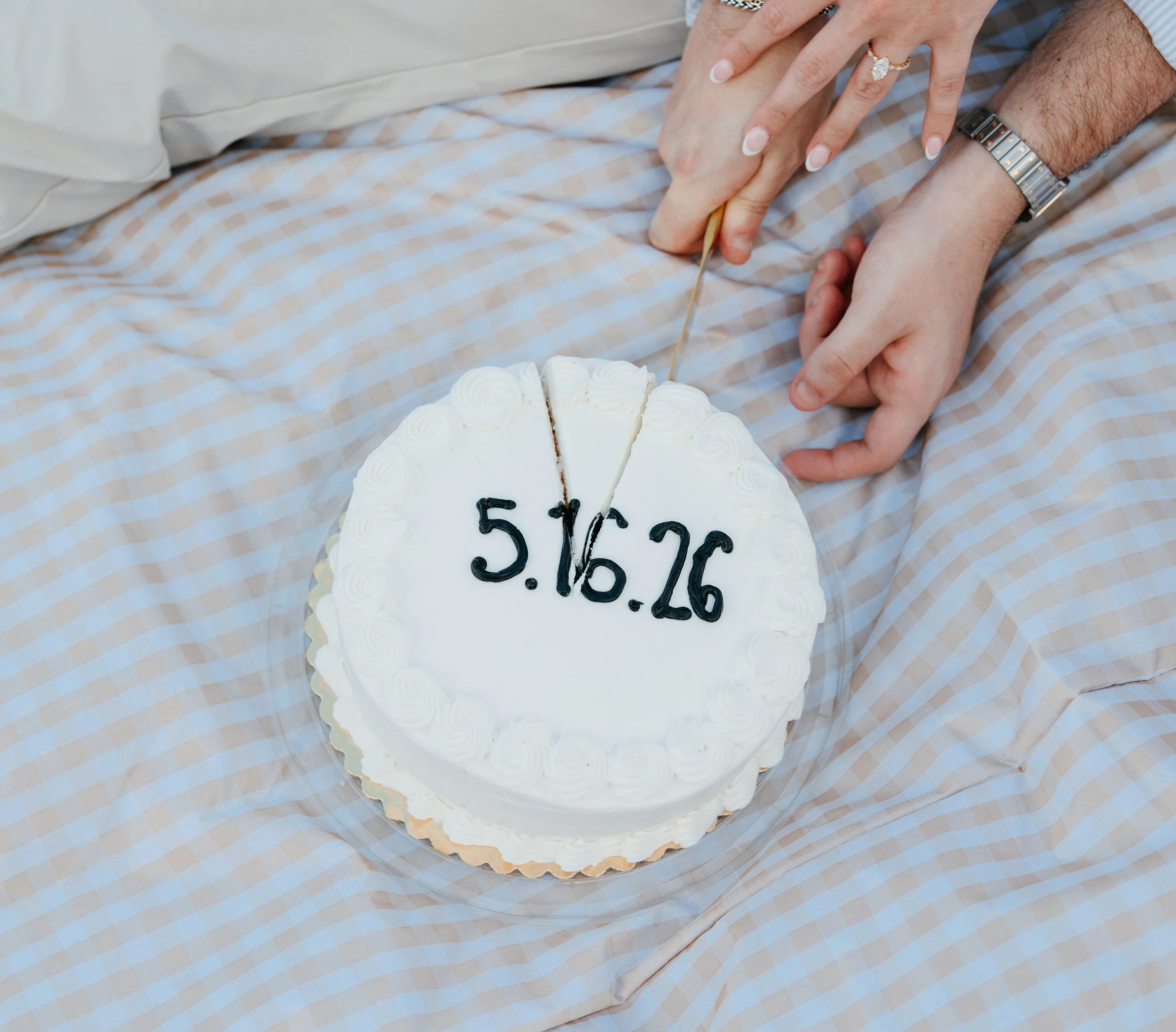 picnic-engagement-photos-118.JPG