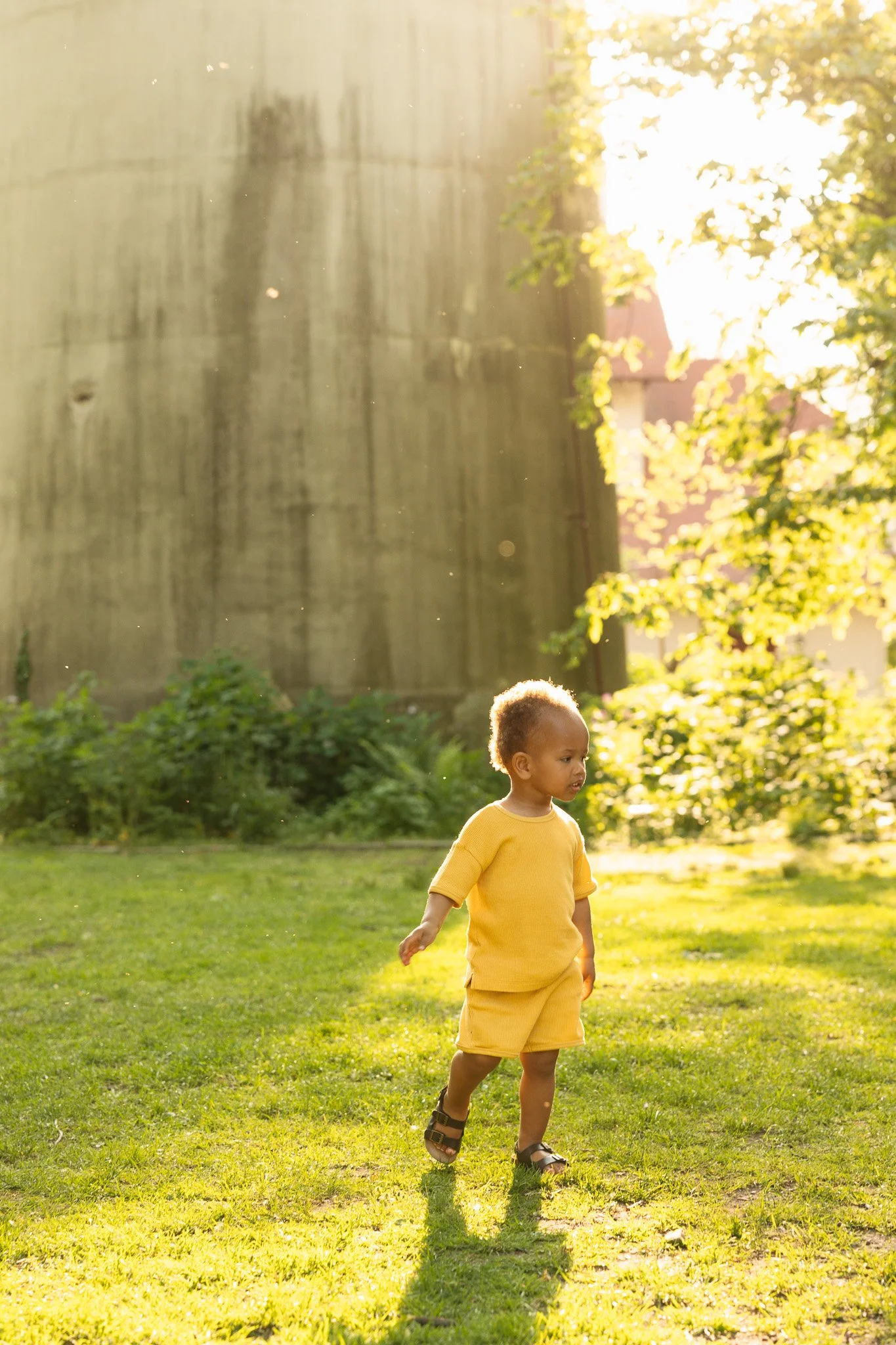 chicago-family-photographer-63.JPG